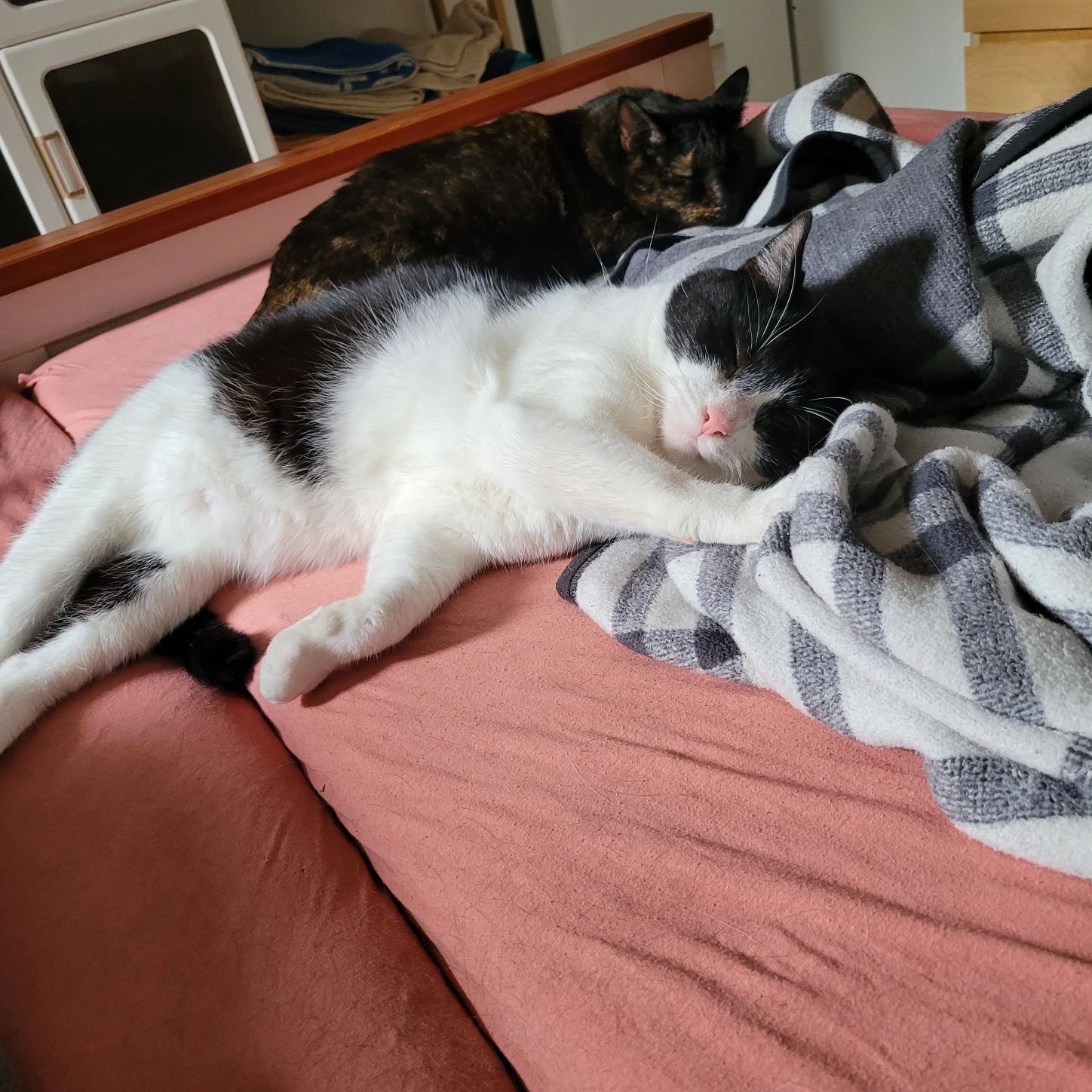 image-11