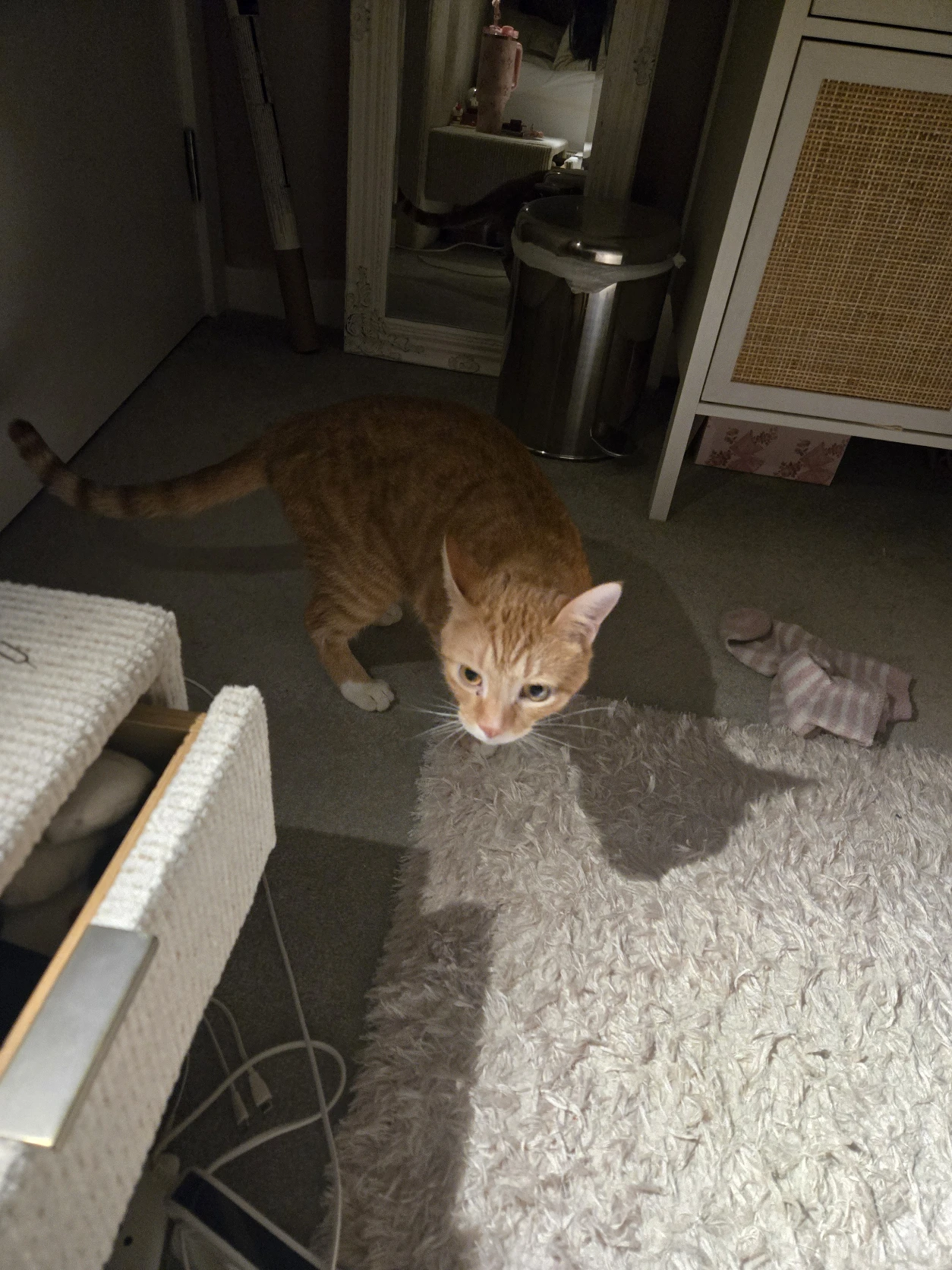 image-35