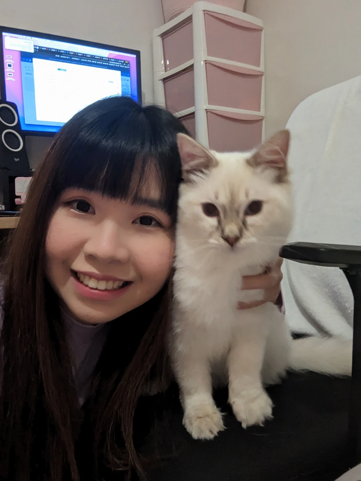 image-20