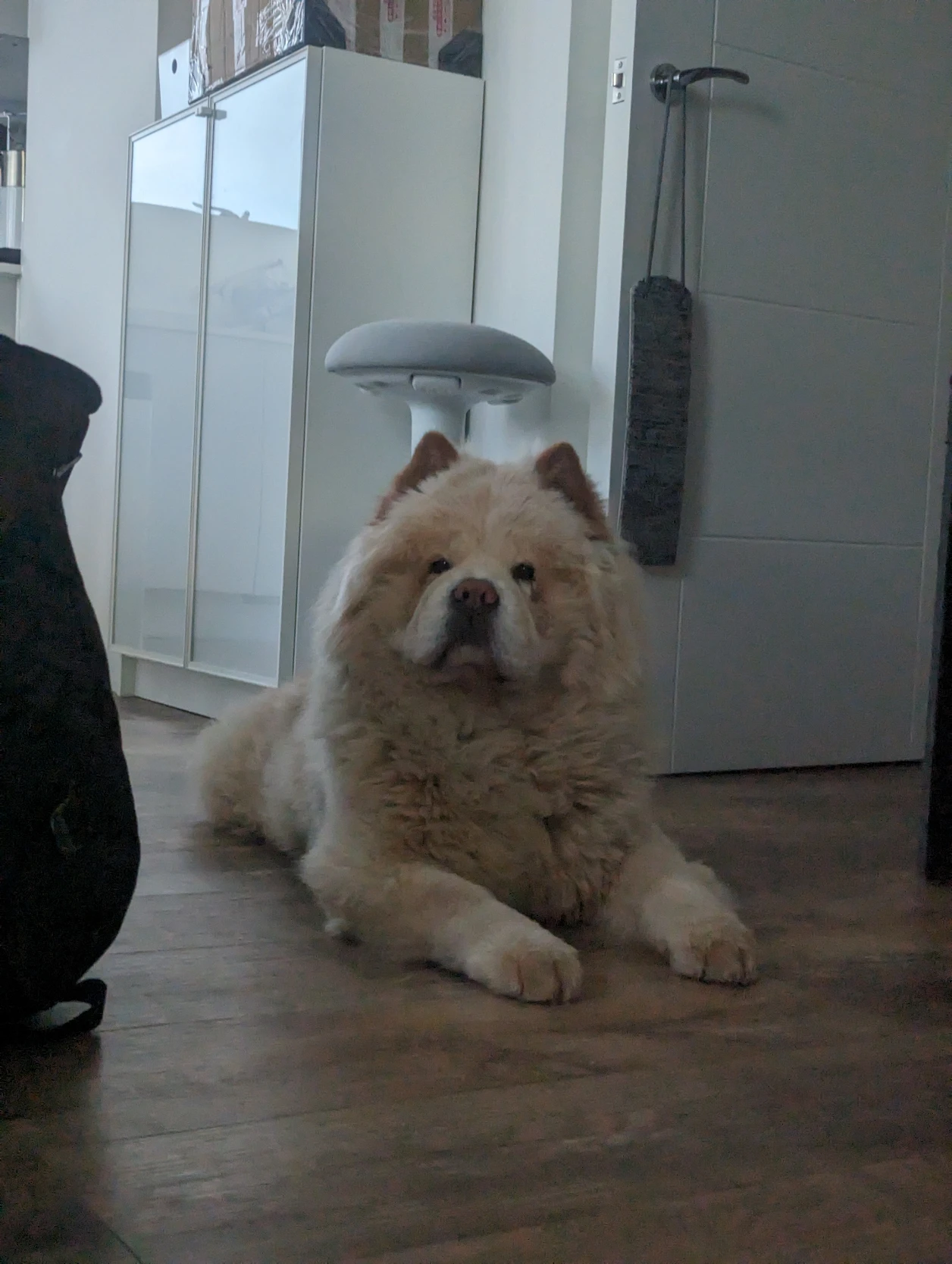 image-7