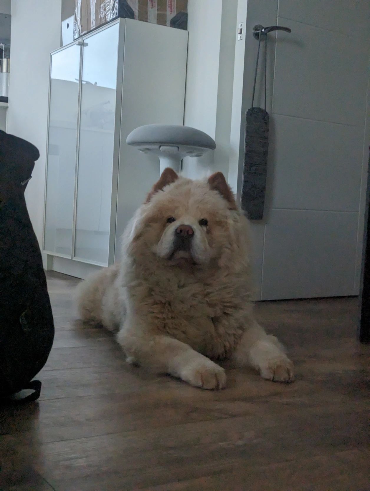 image-7