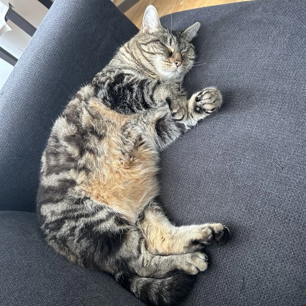 kira
