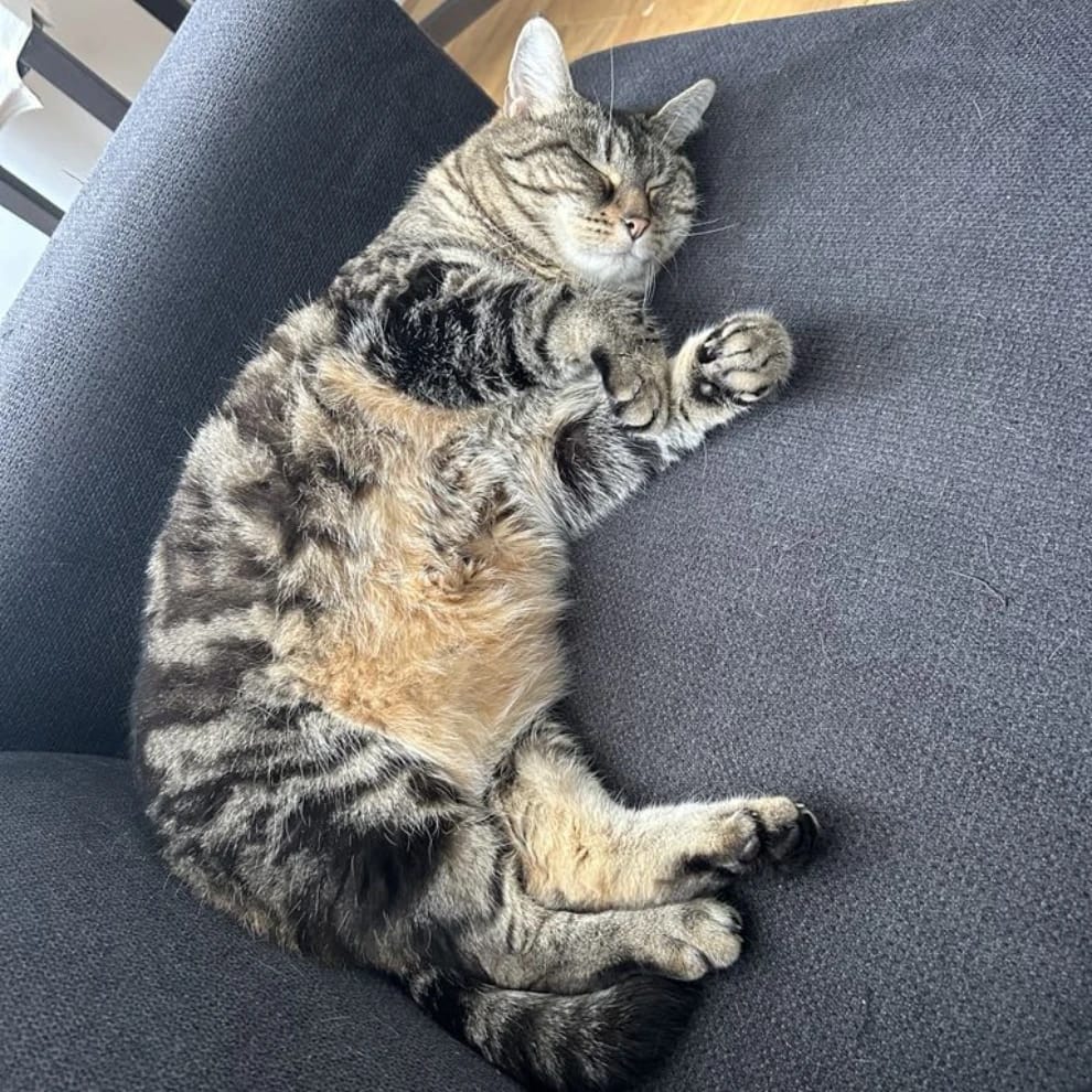 kira