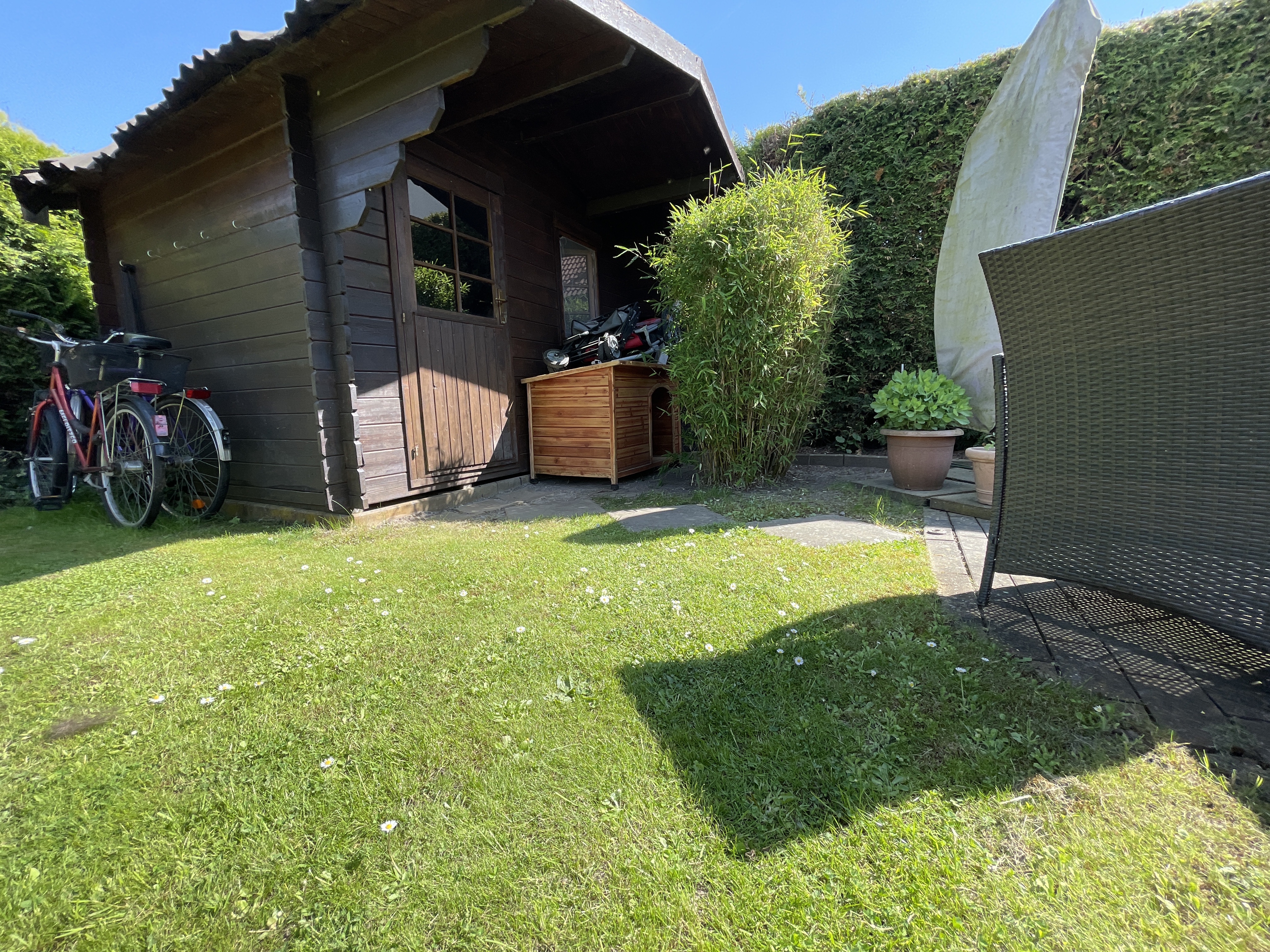 image-13