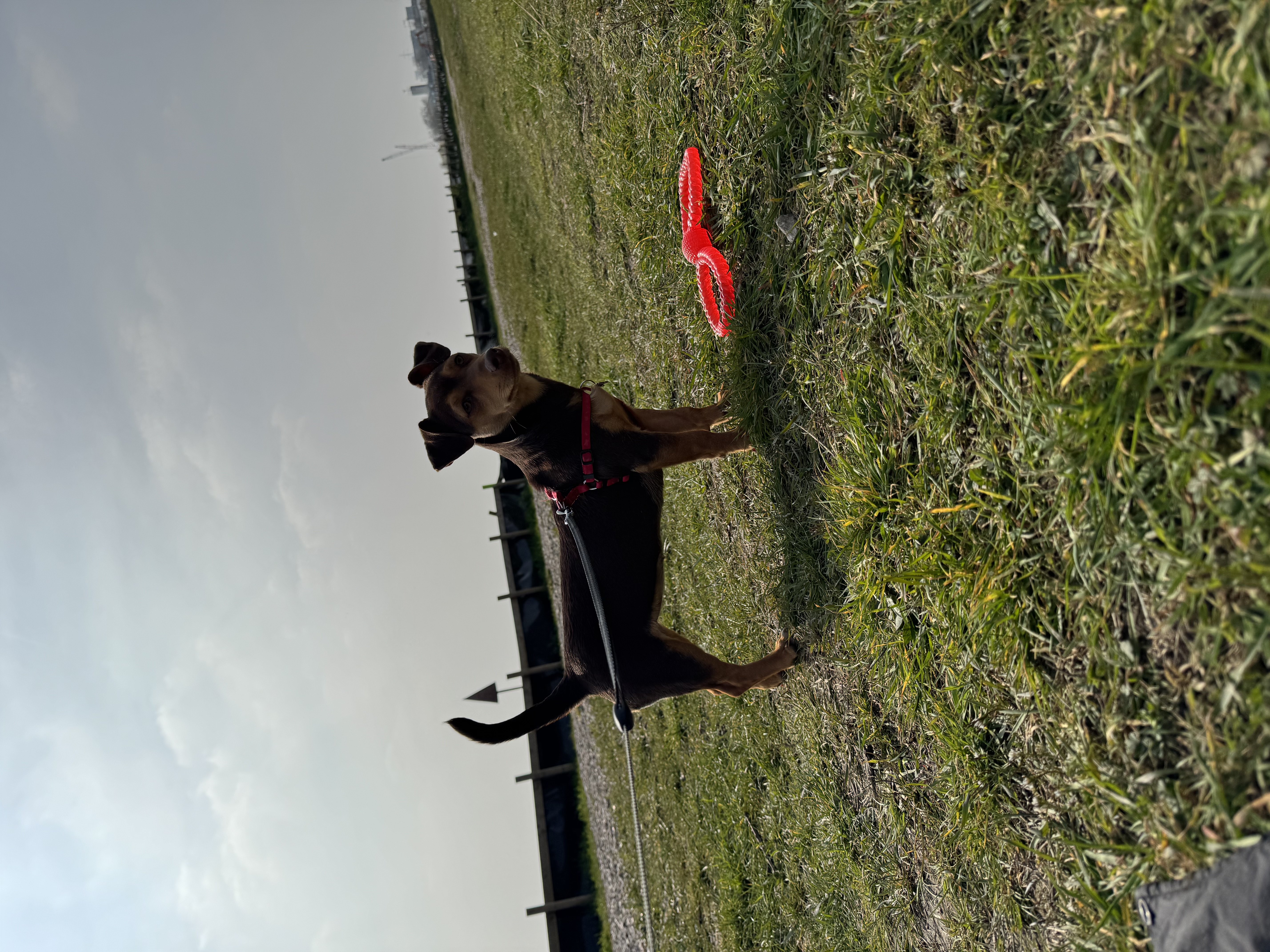 image-5