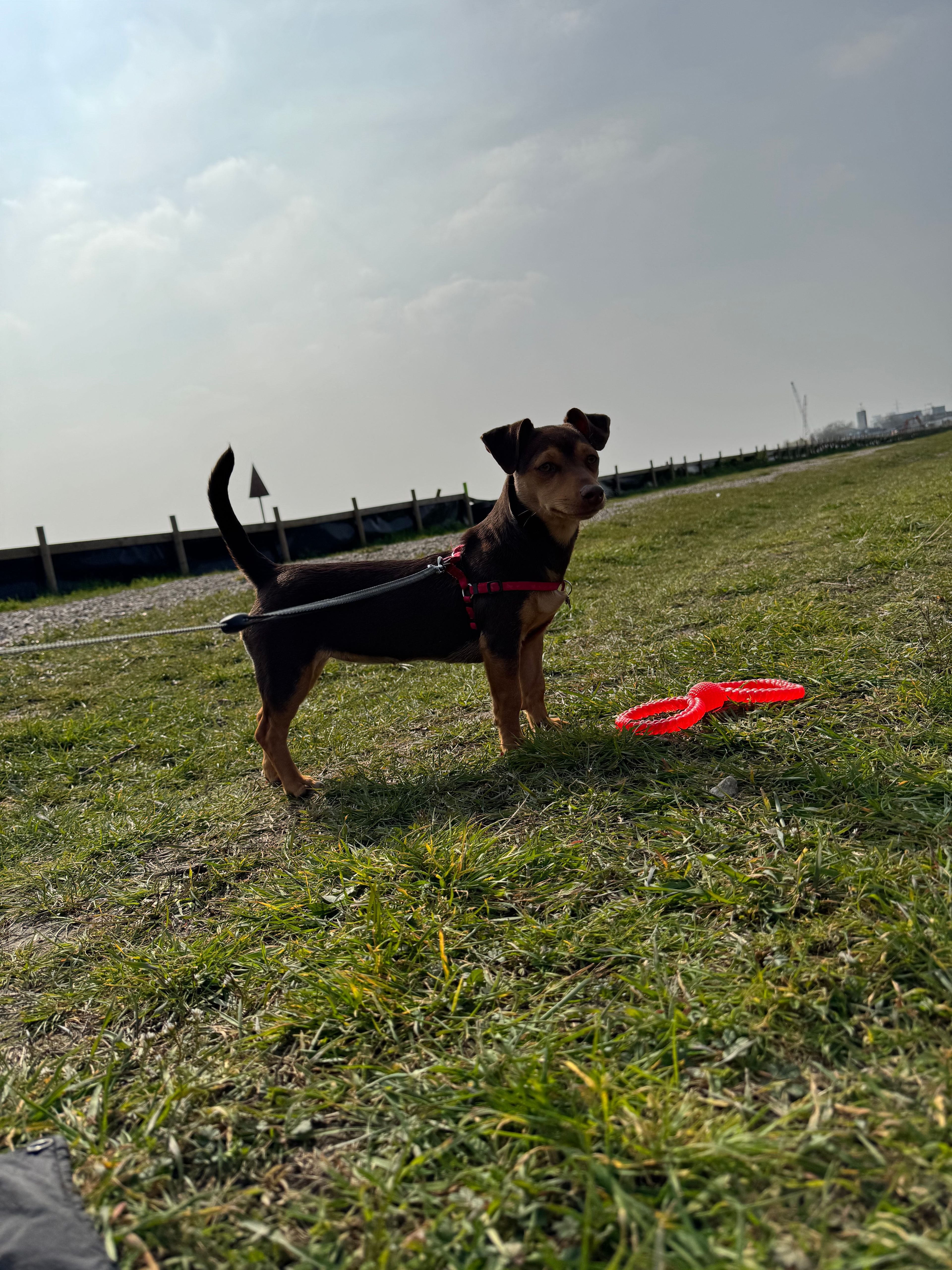 image-5