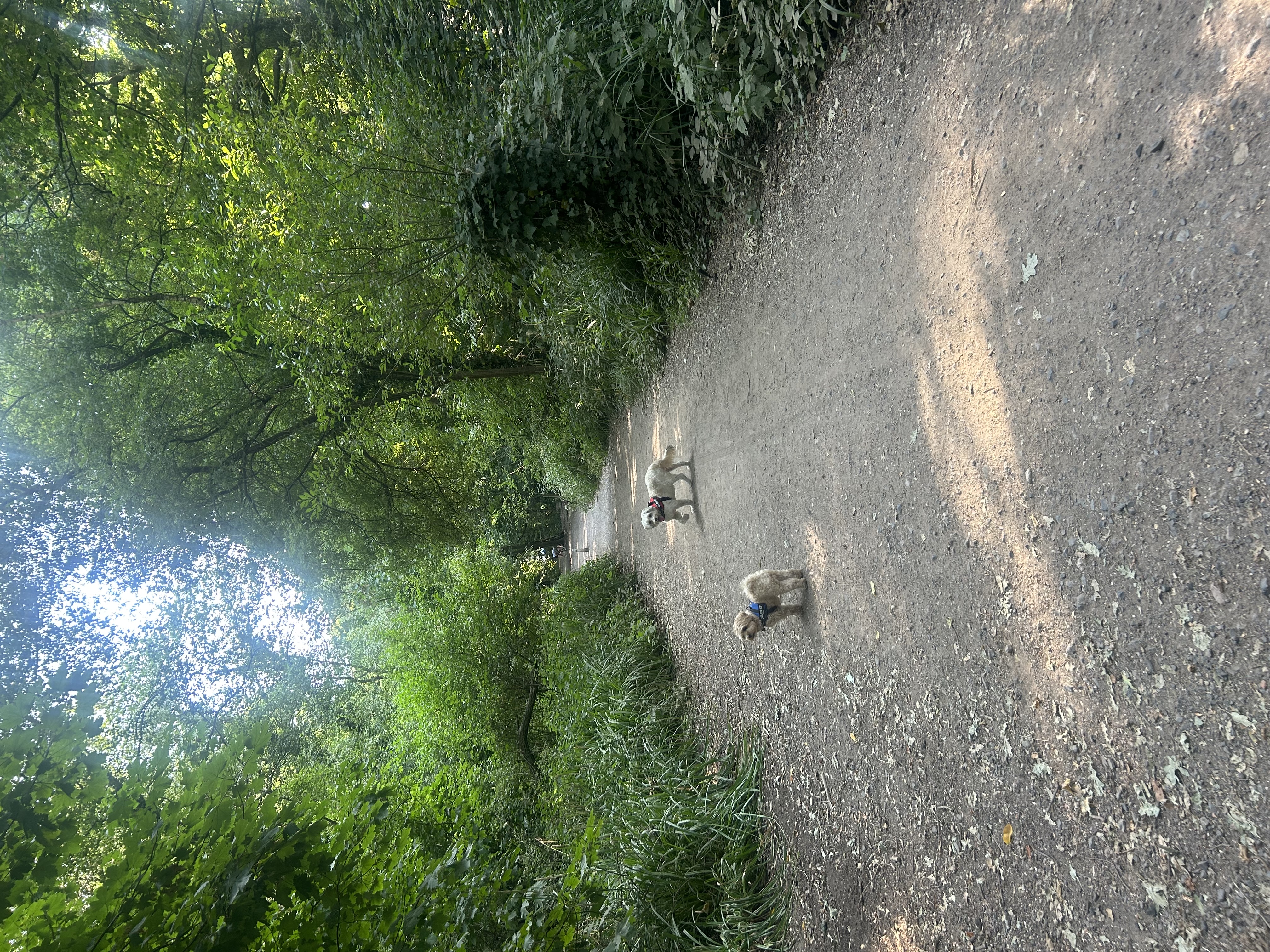 image-8