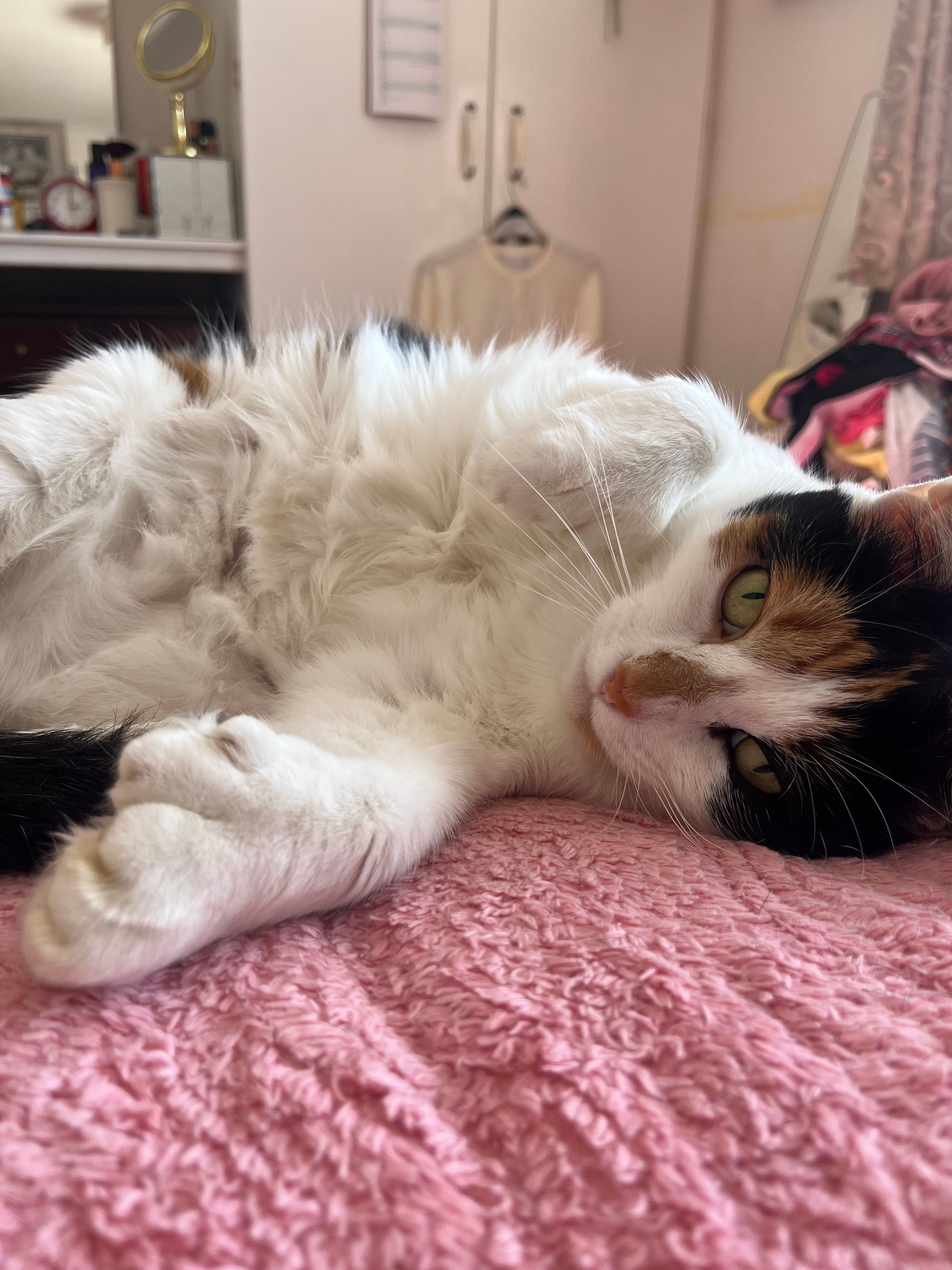image-4