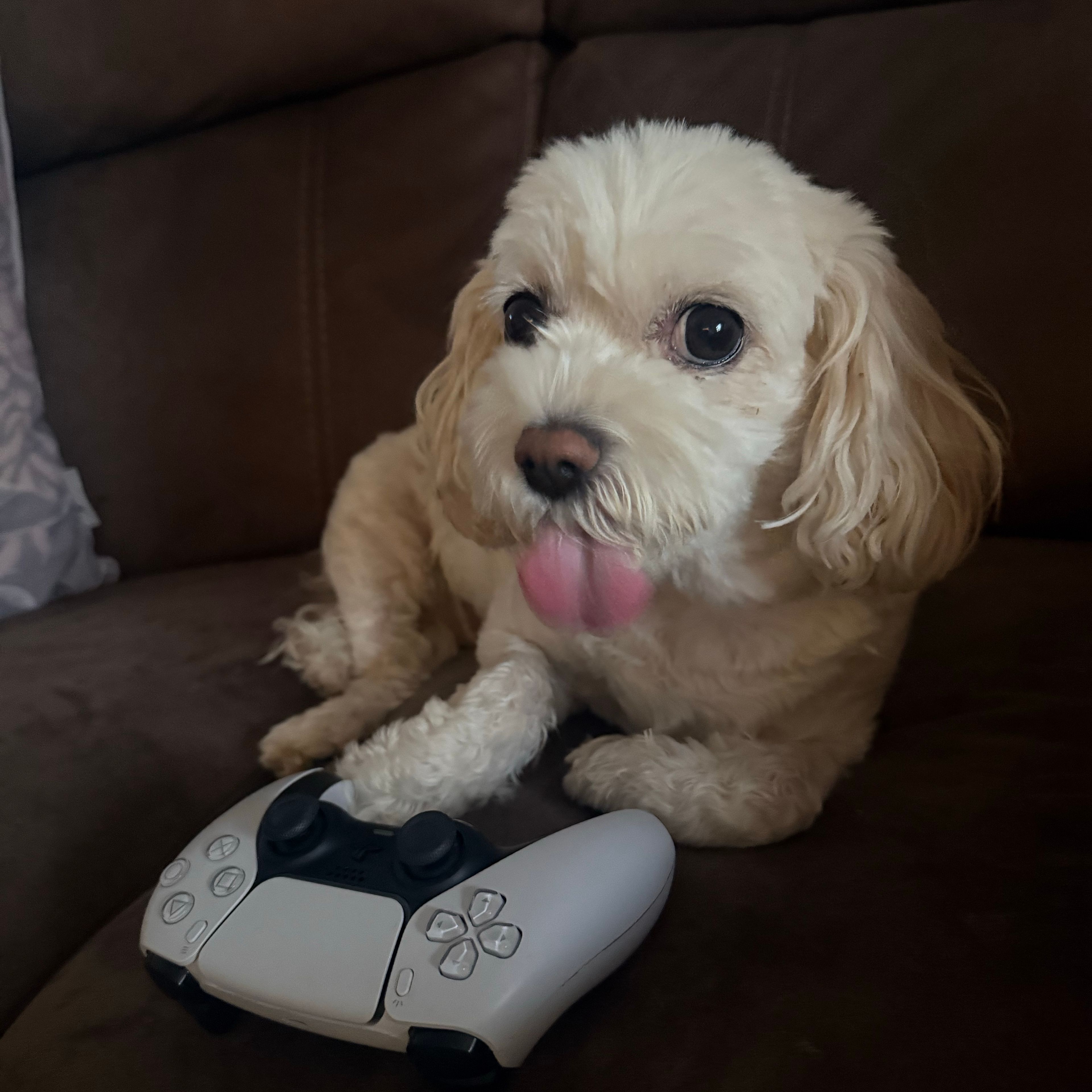 Lulu