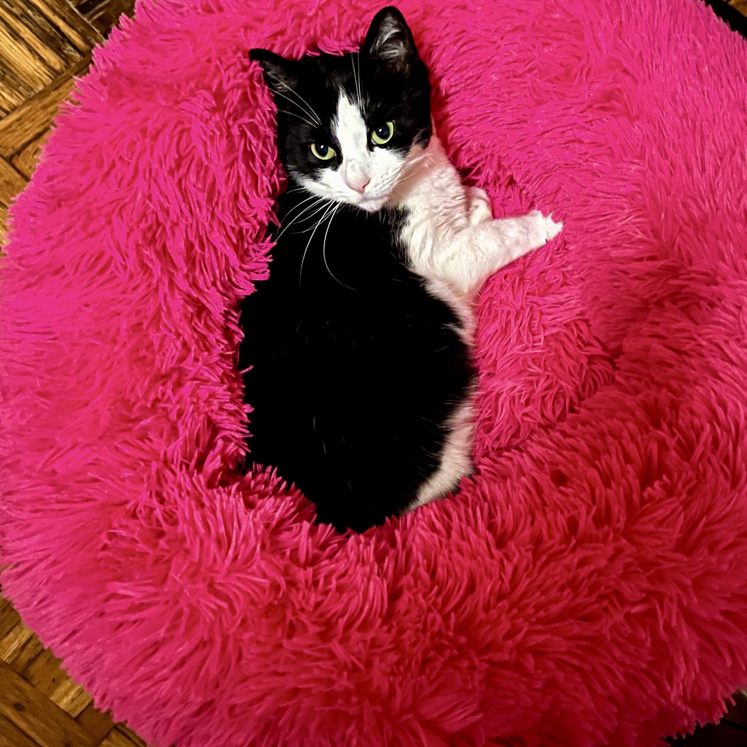 Mia