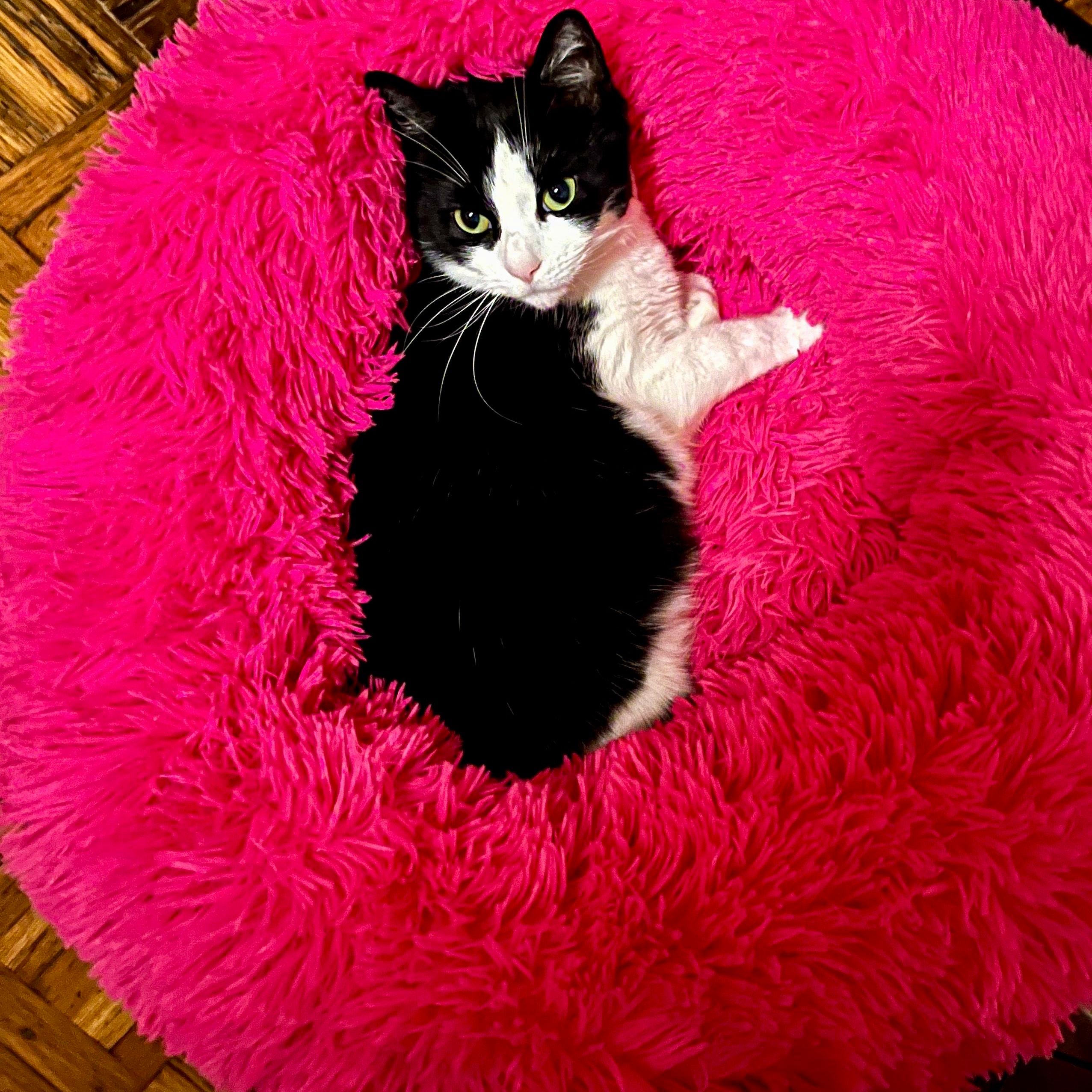 Mia