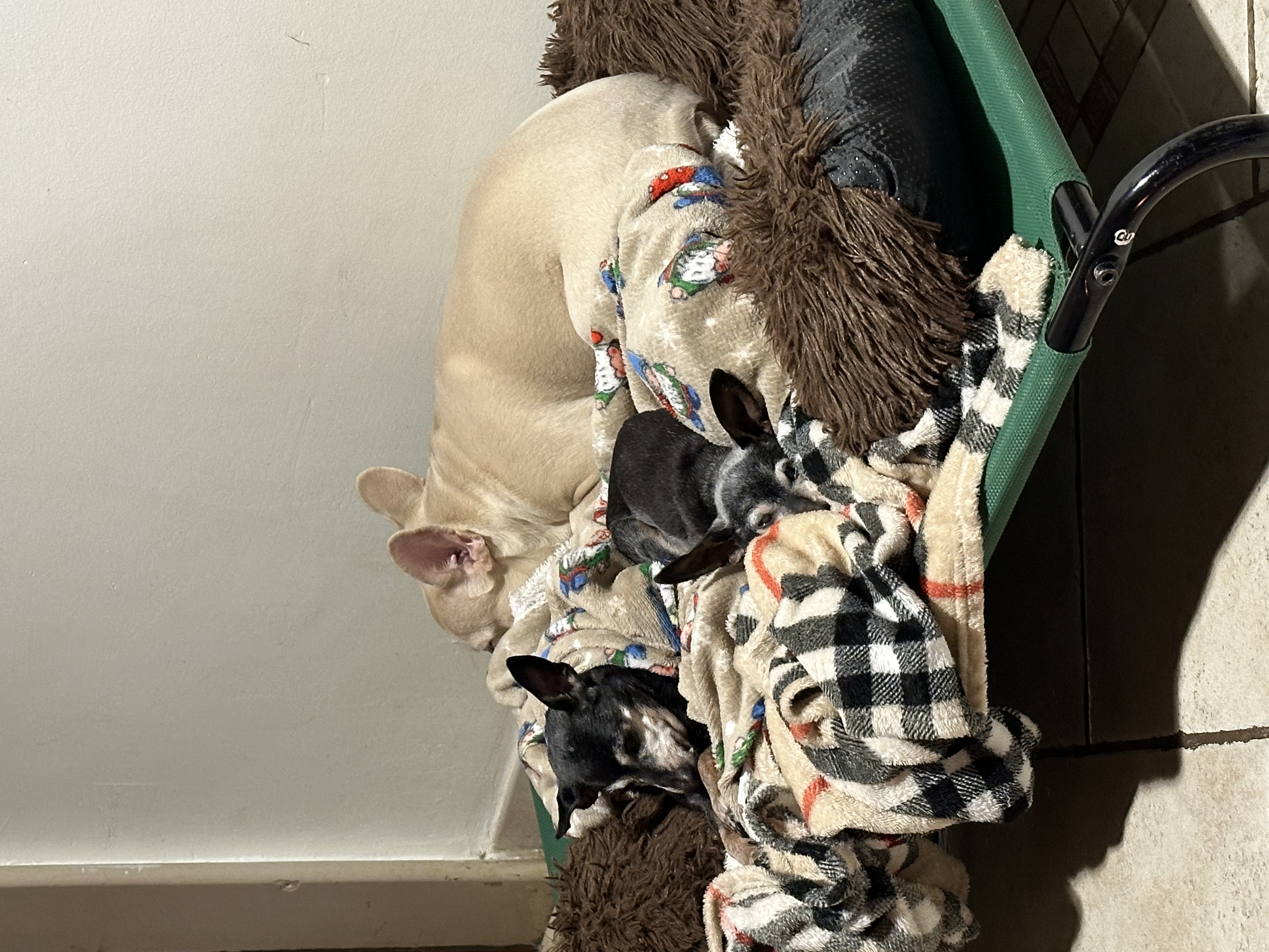 image-10