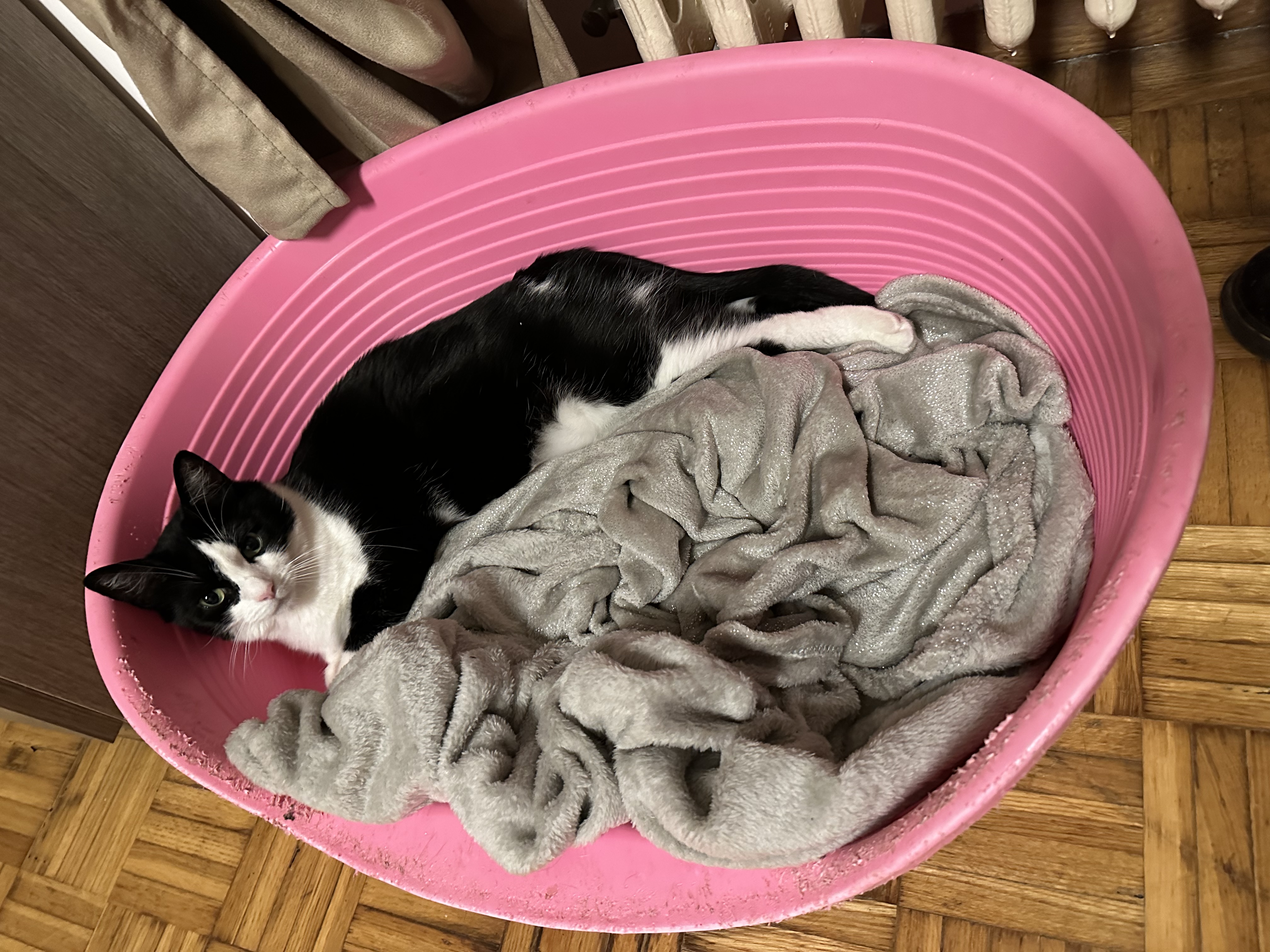 image-16
