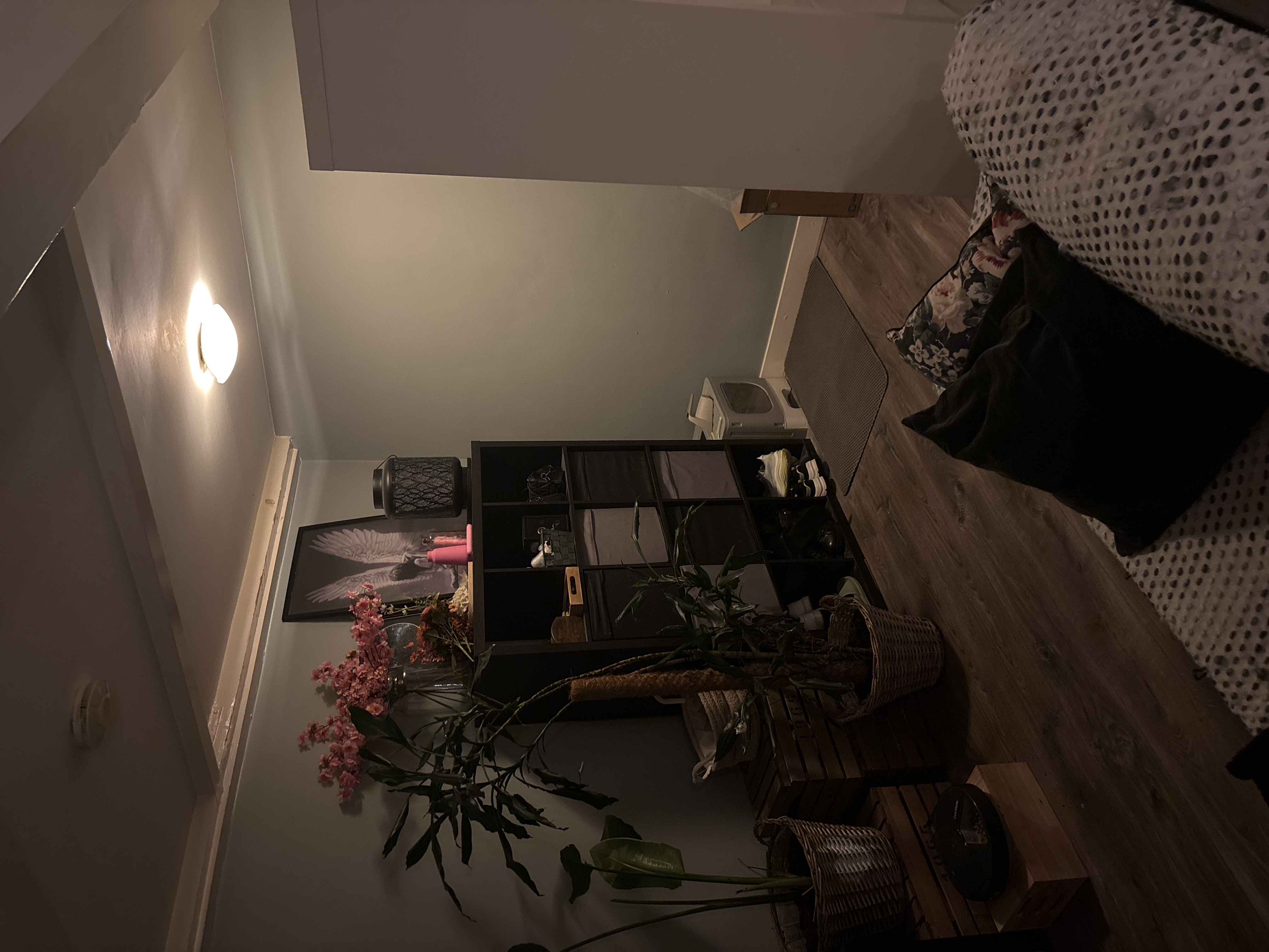 image-14