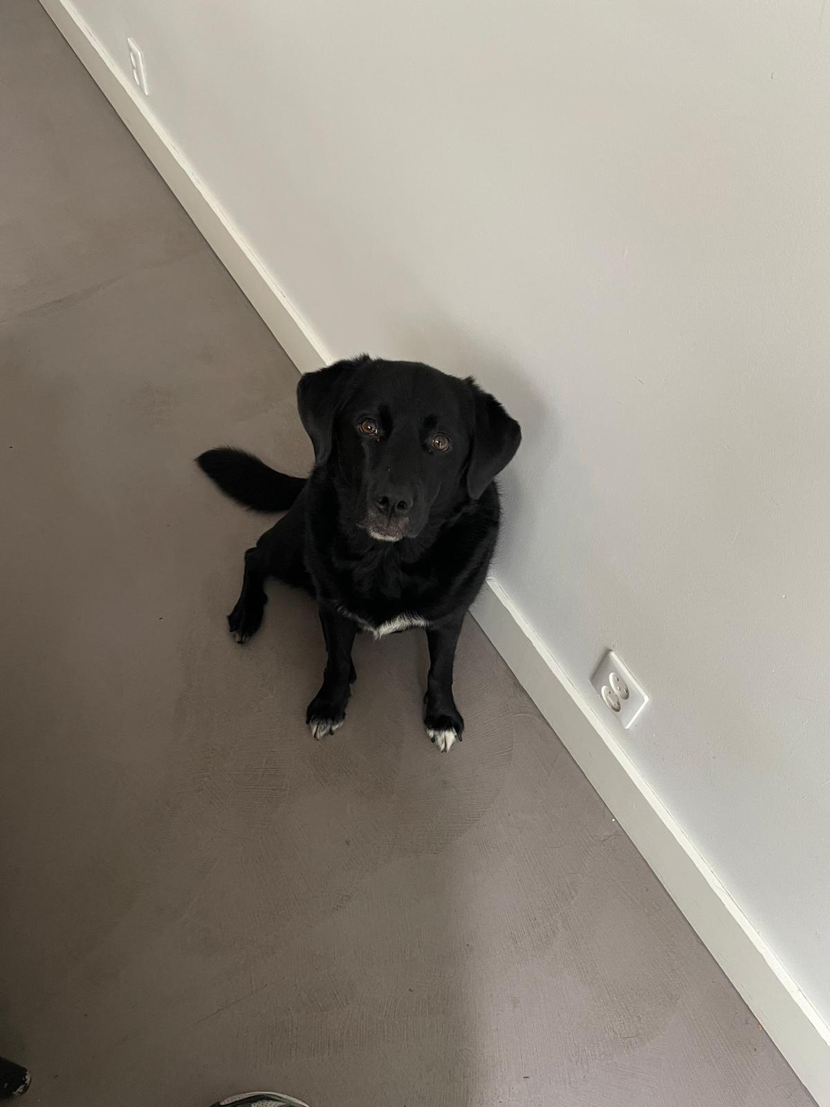 image-6