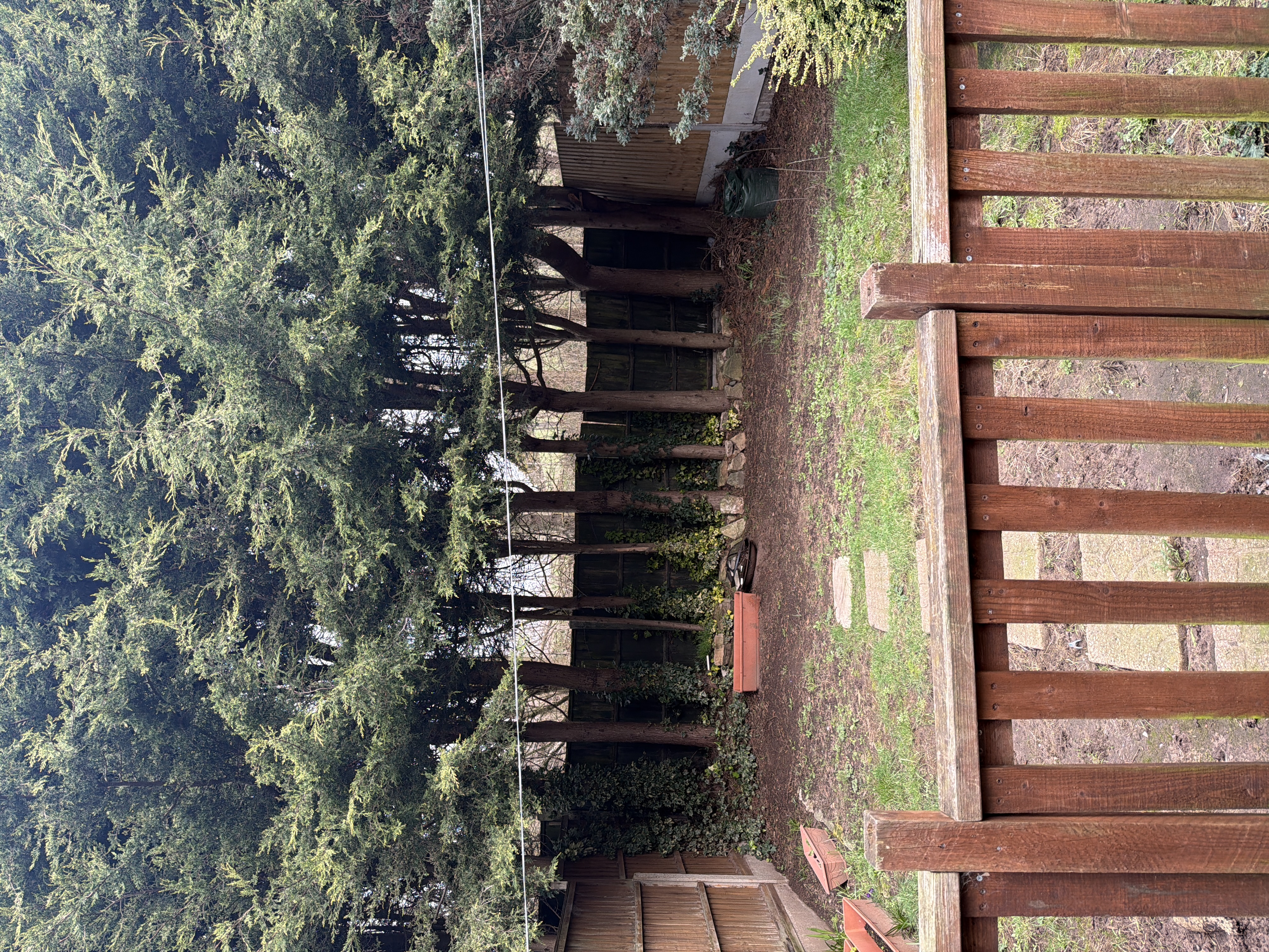 image-17