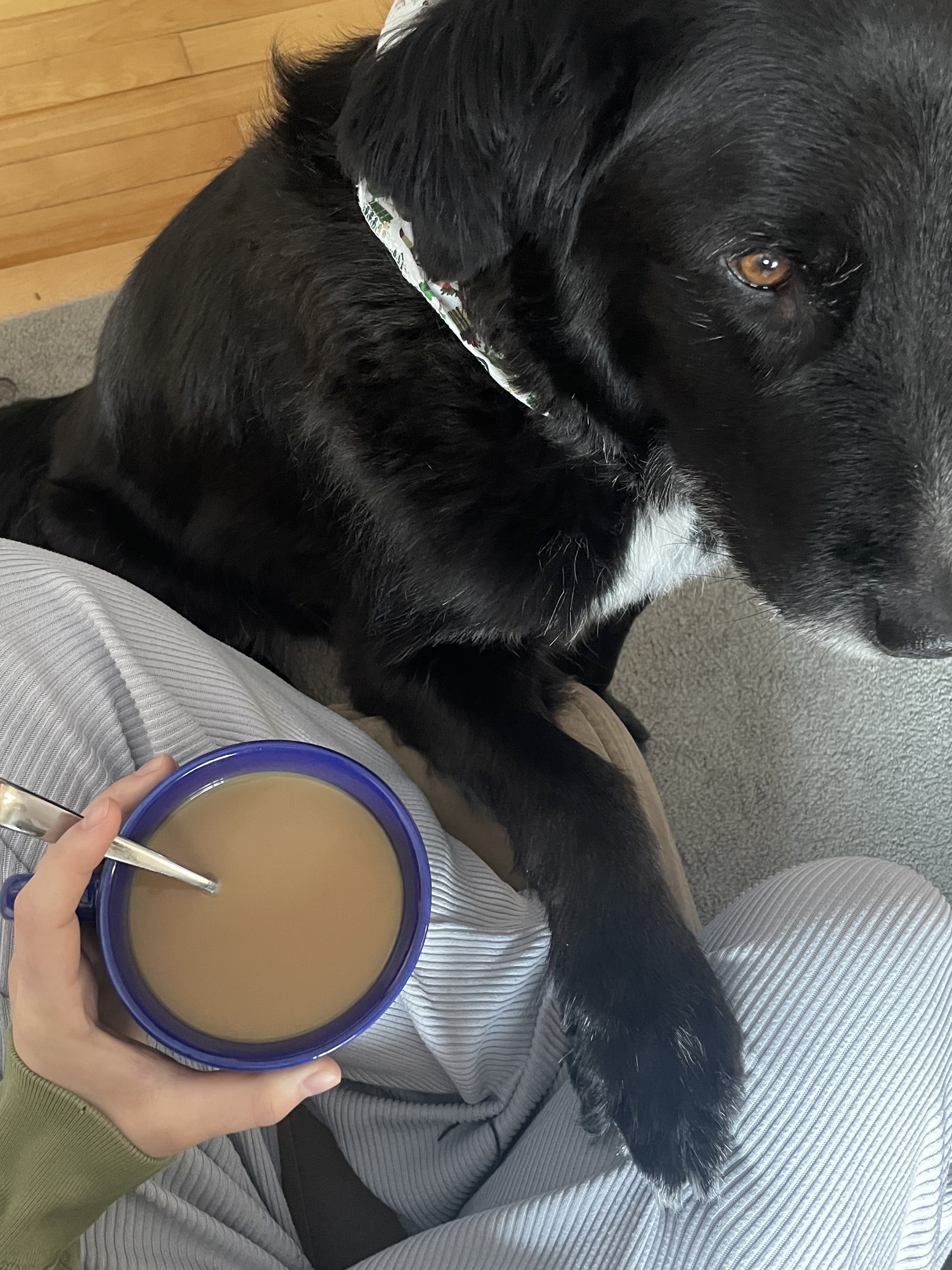 image-8
