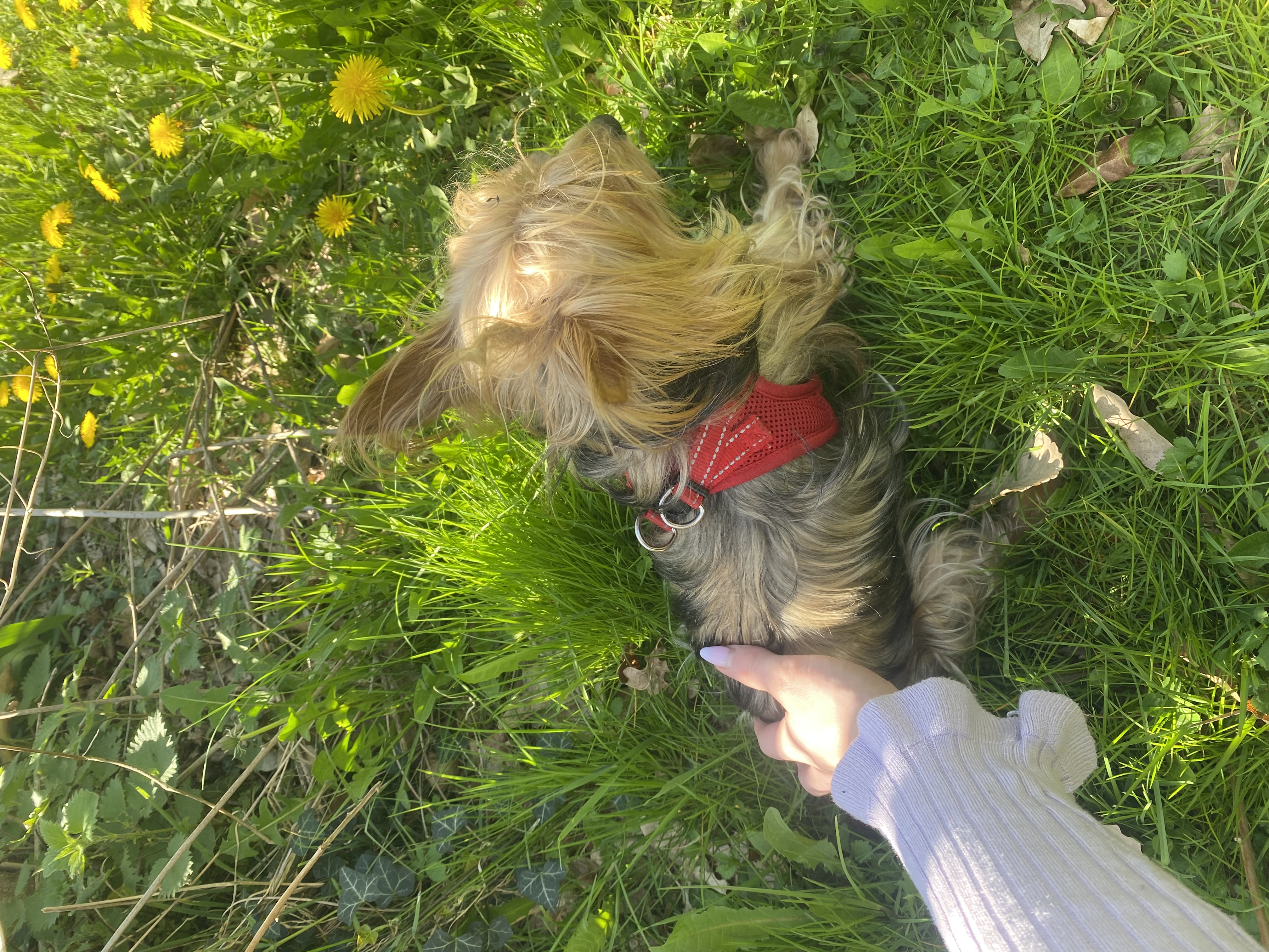 image-6