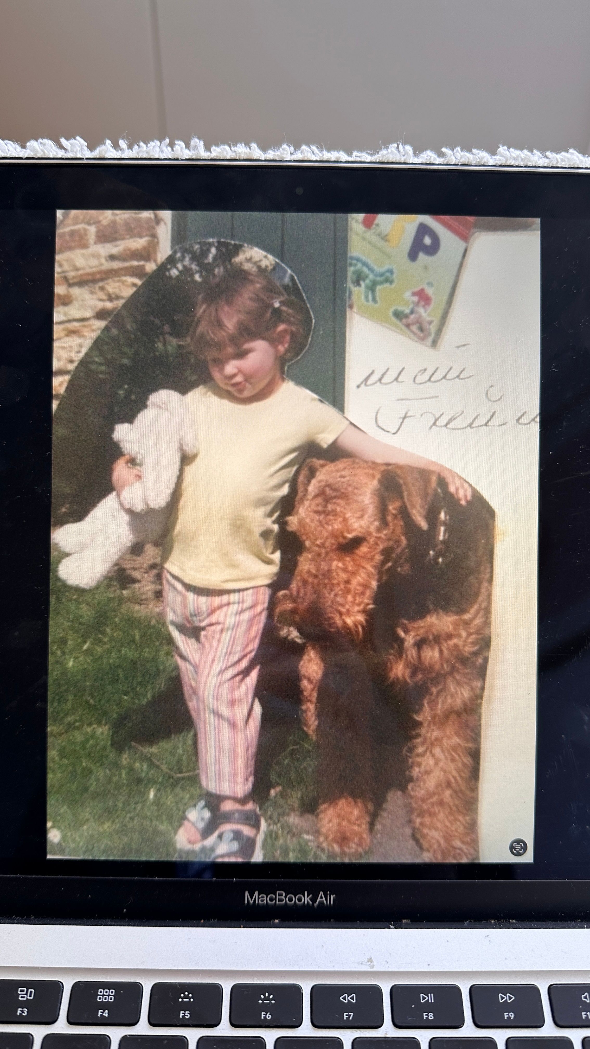 image-8