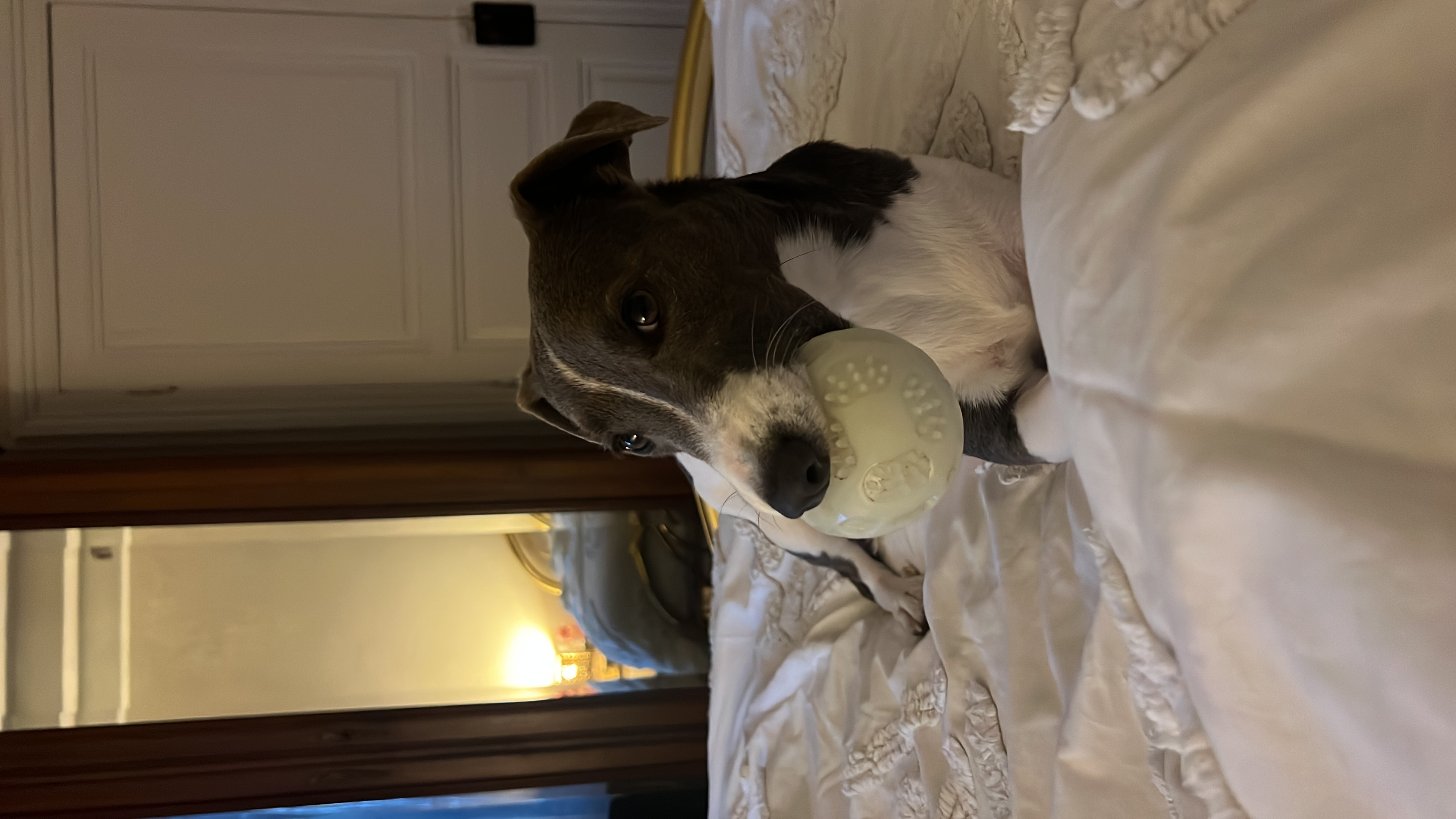 image-5