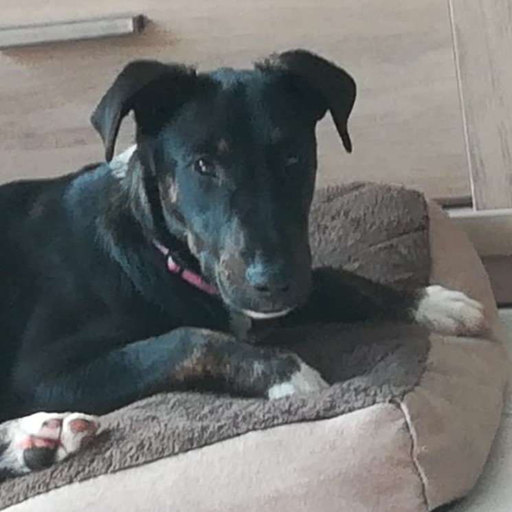 Luna