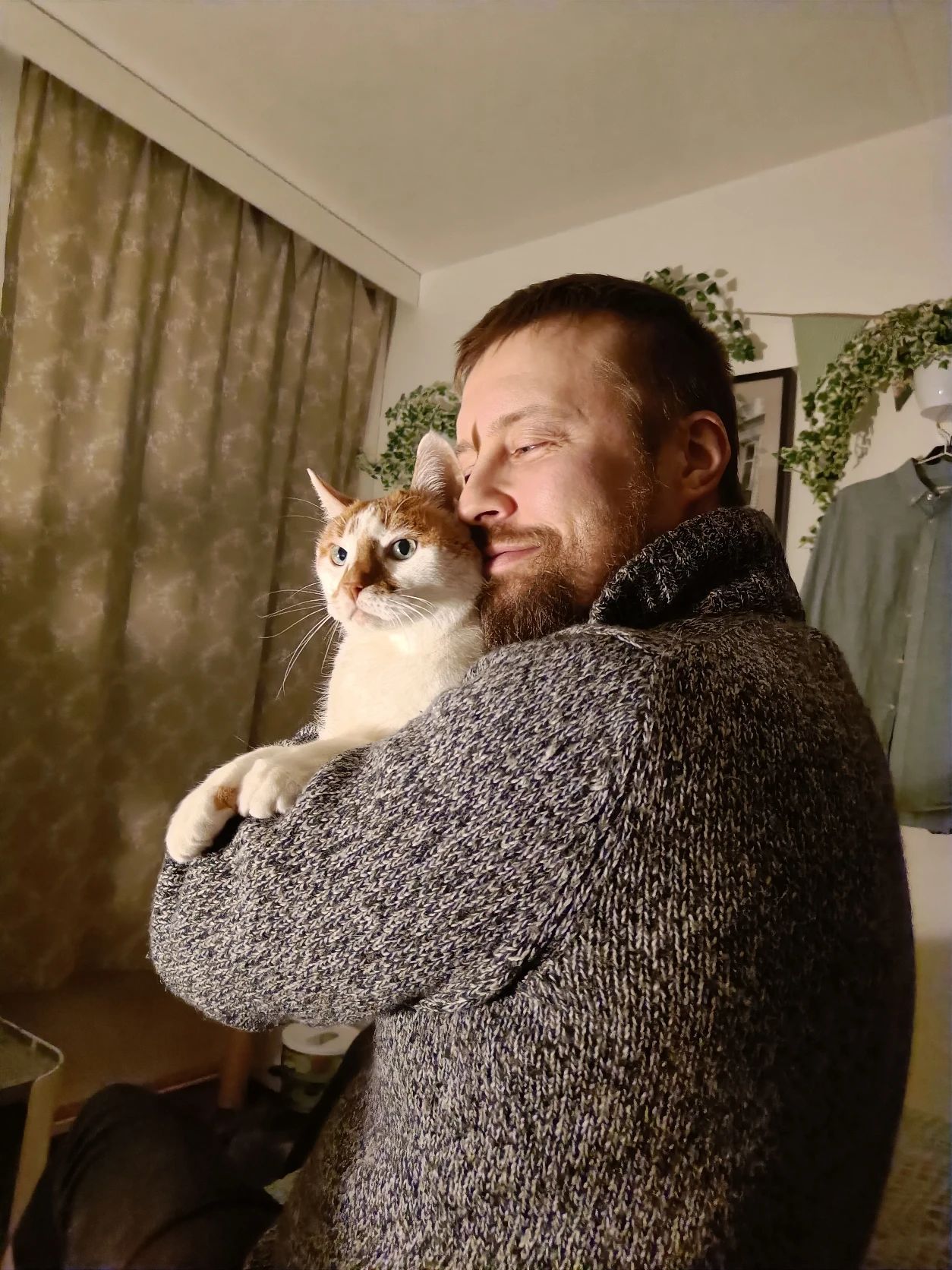 image-8