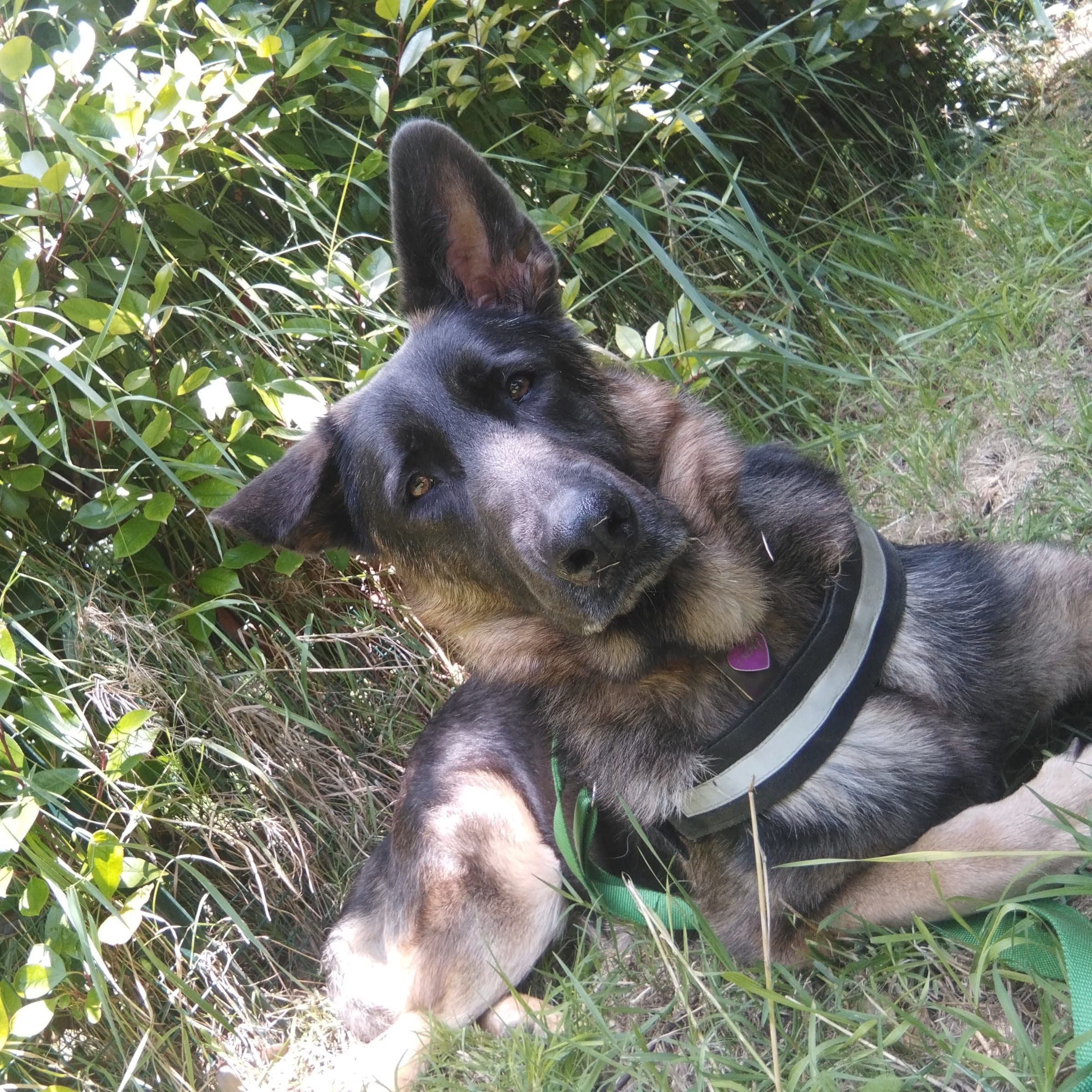 Athena