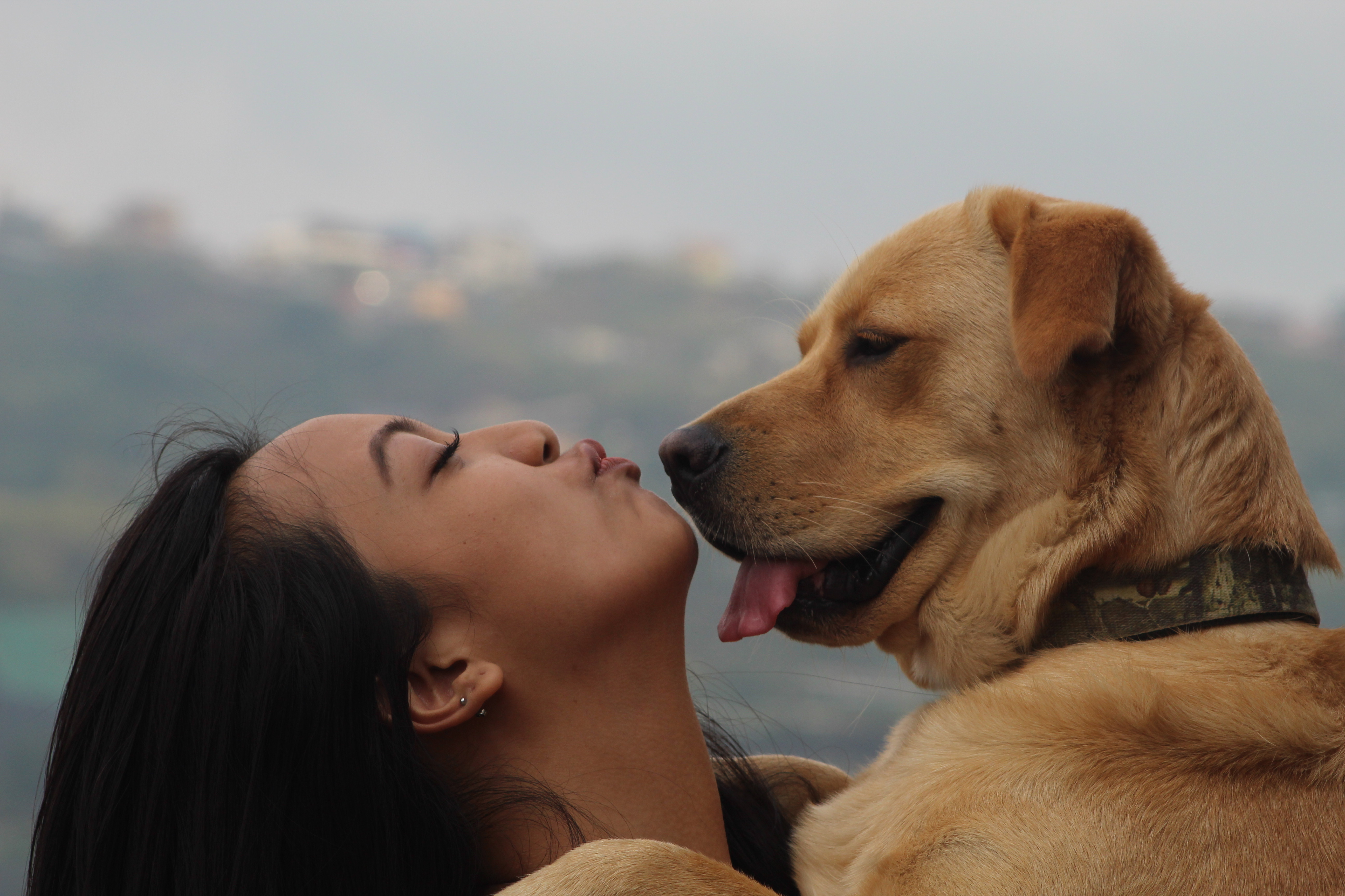 image-2