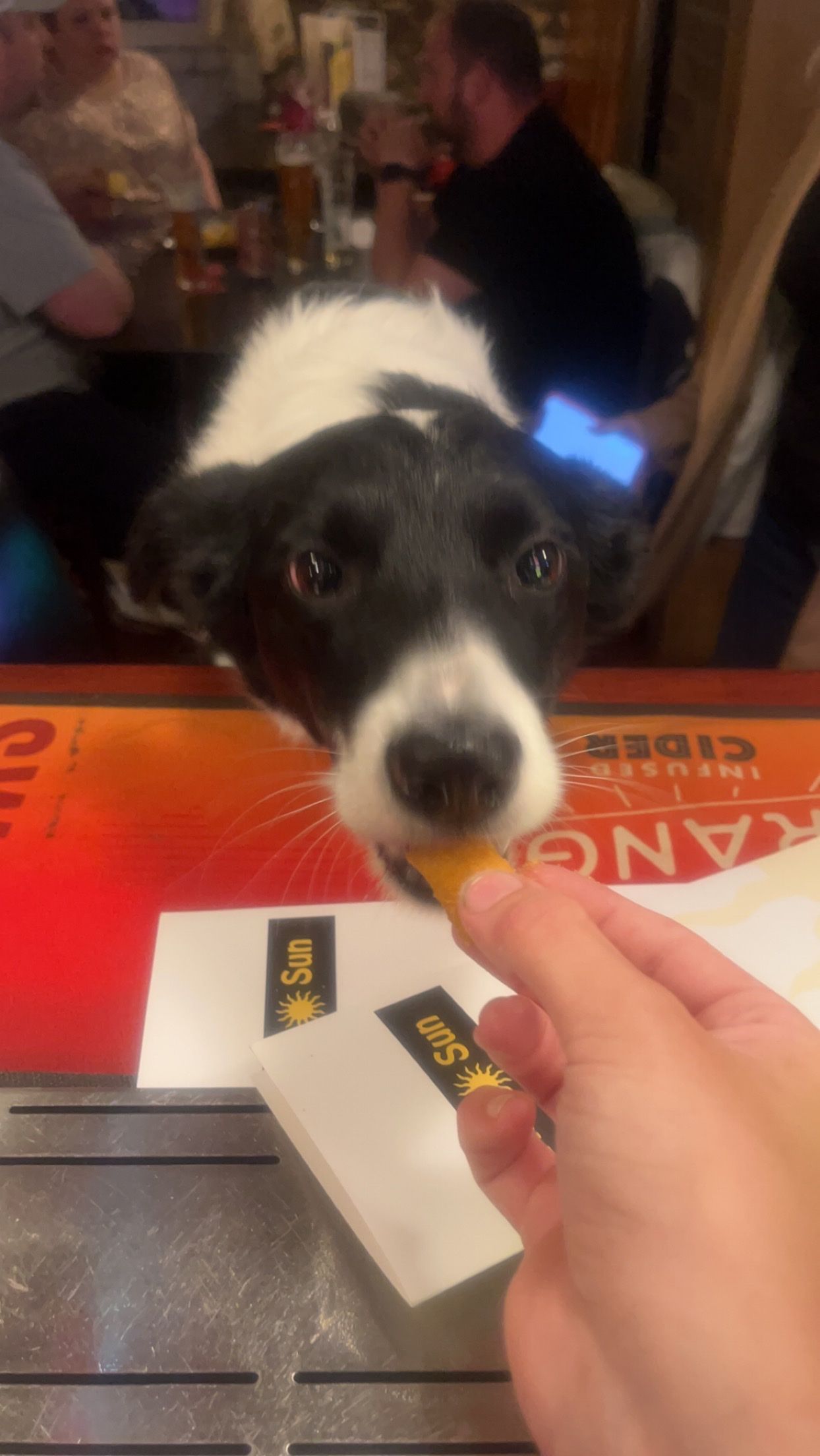 image-6