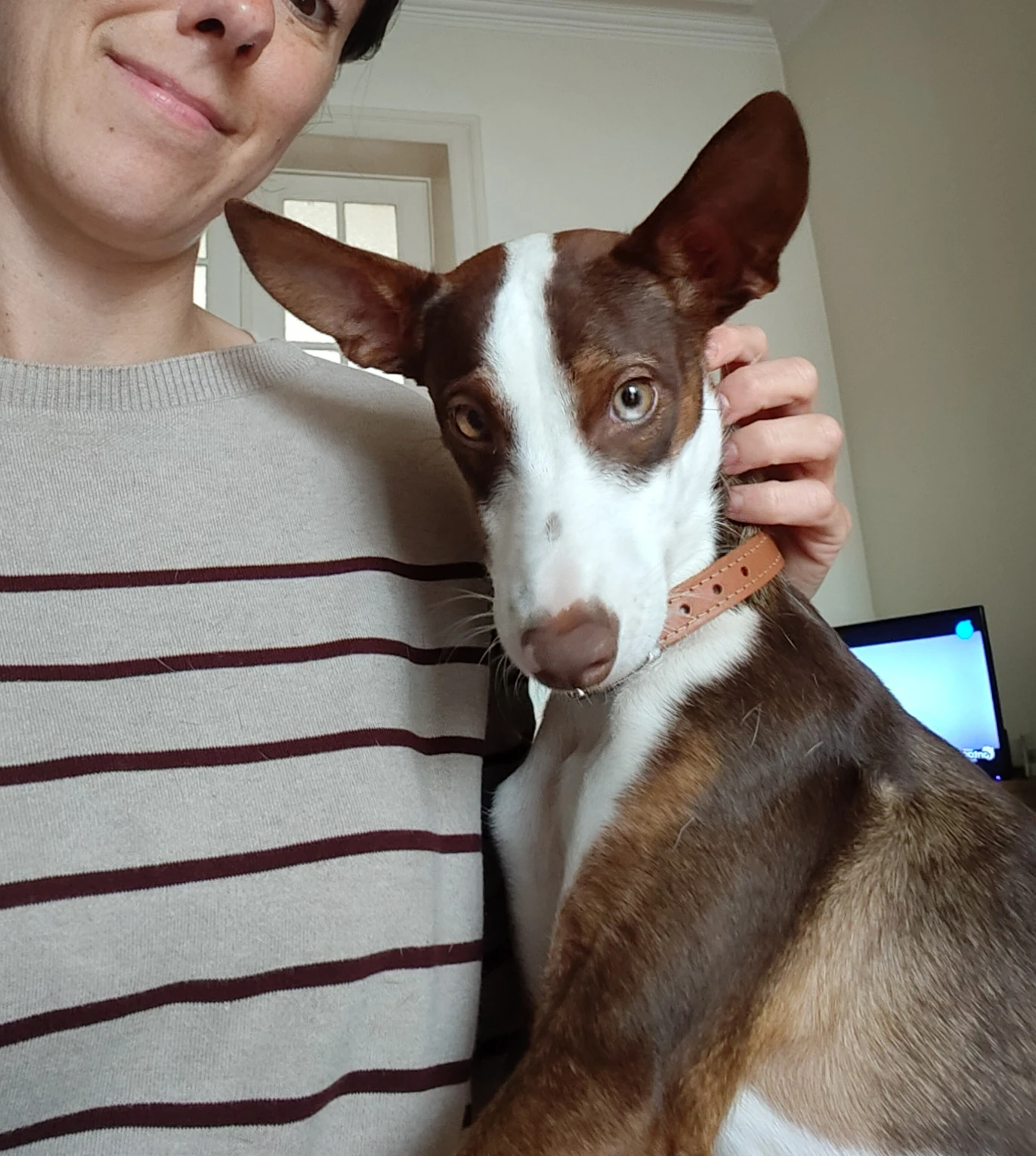 image-9