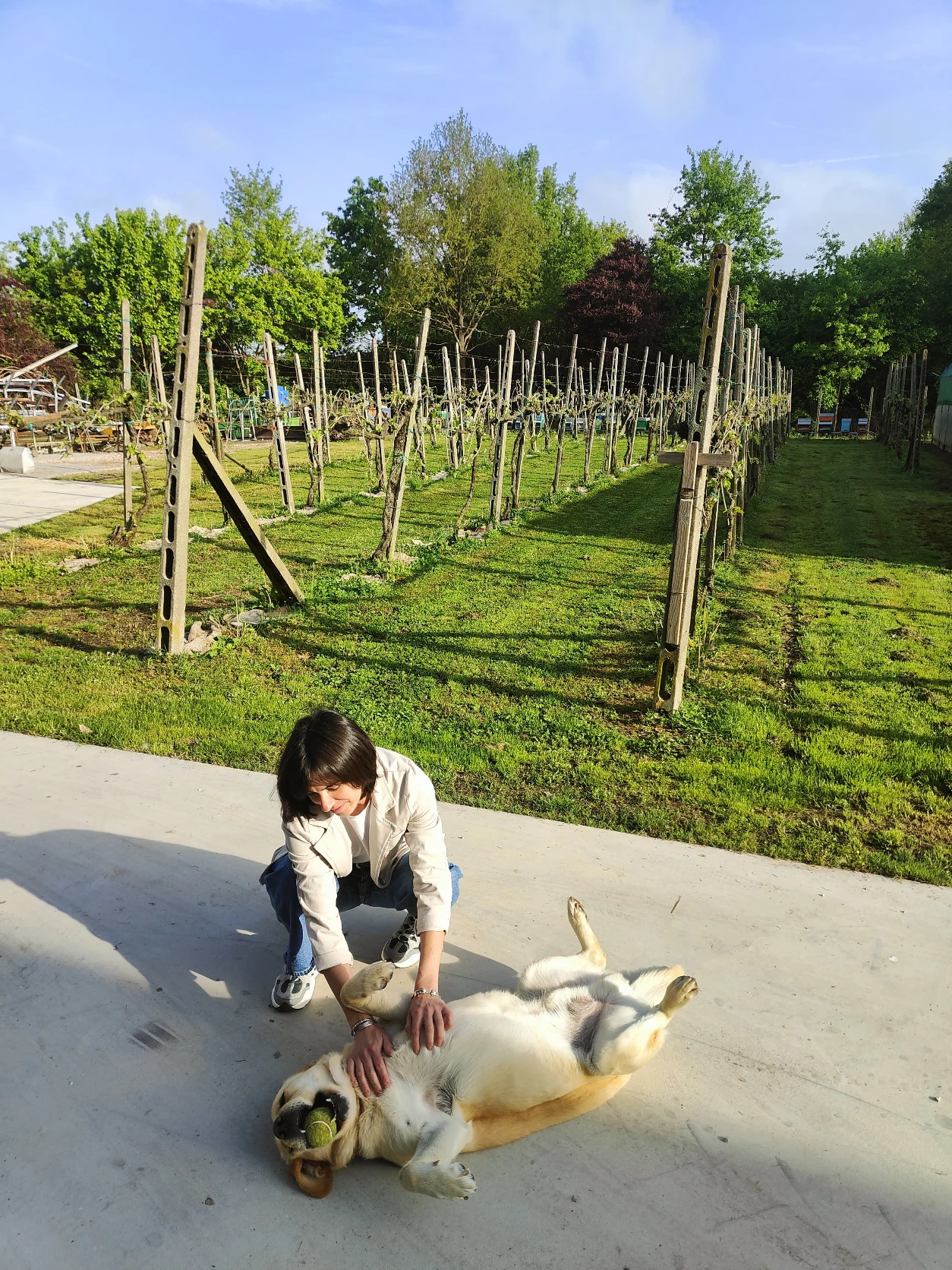image-8
