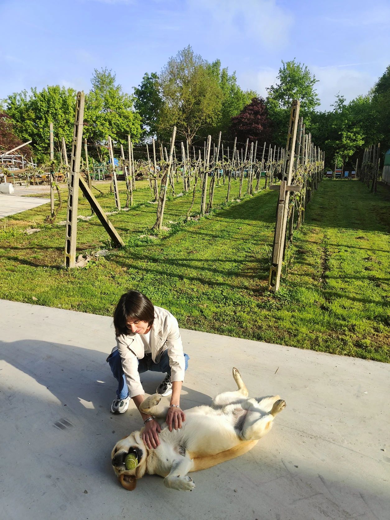 image-8