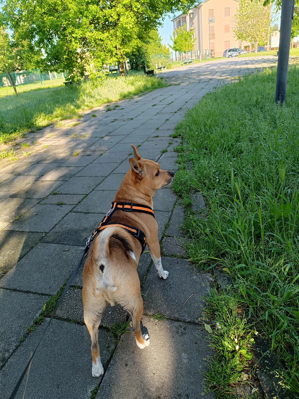 image-20