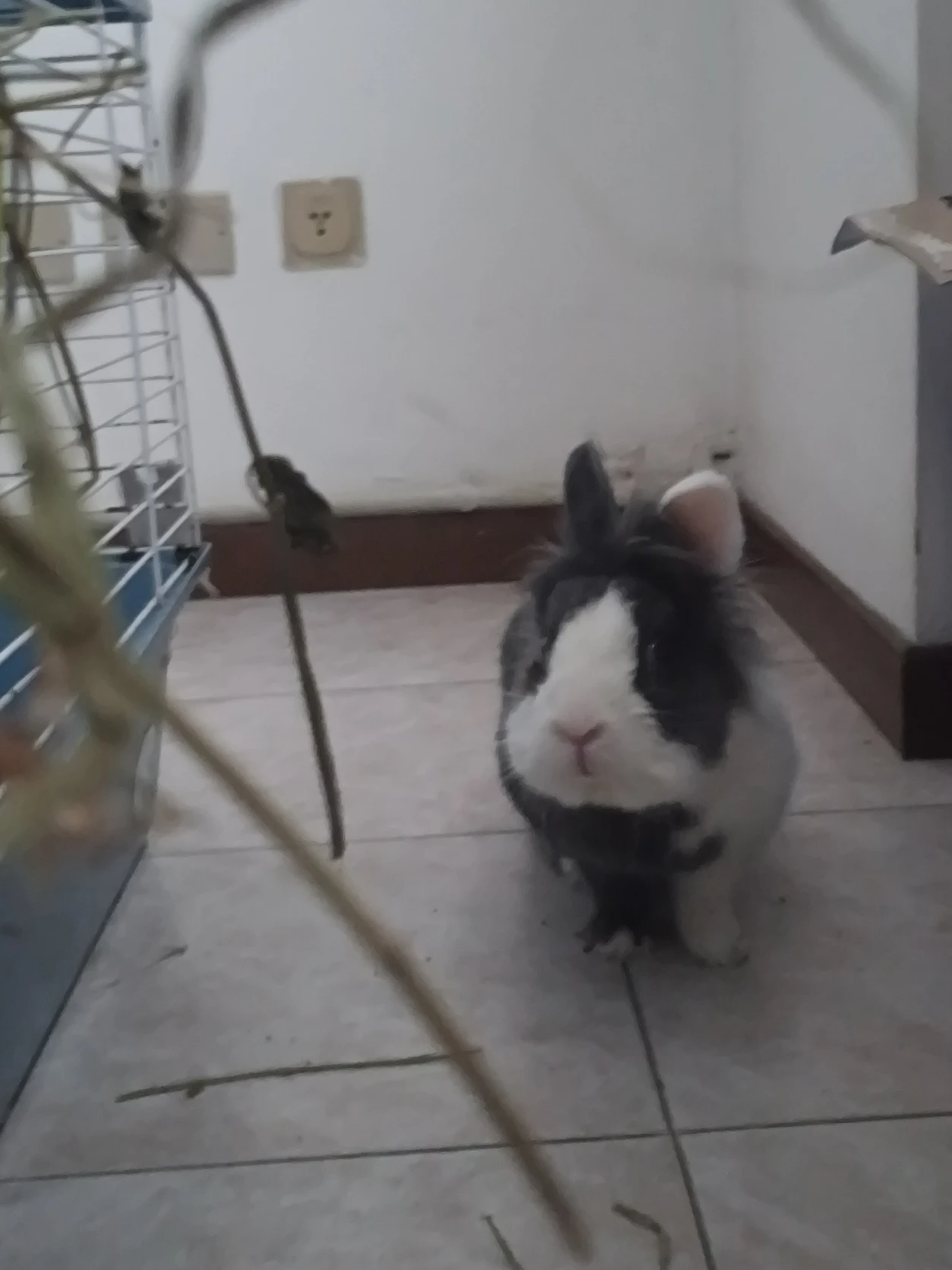 image-17