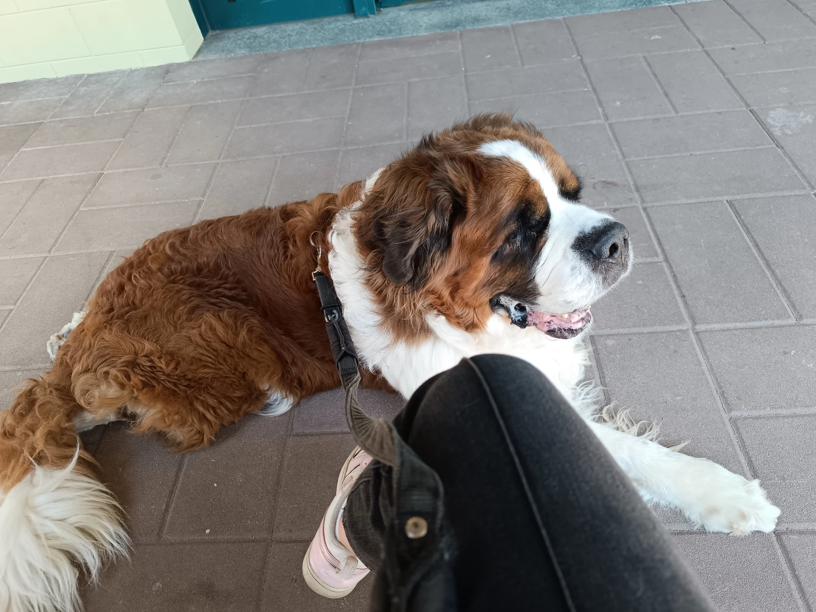 image-11