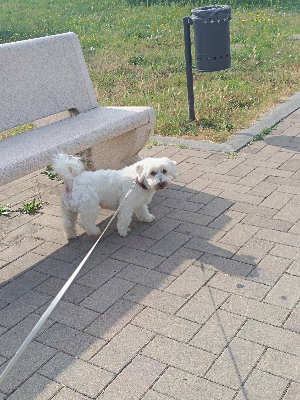 image-9