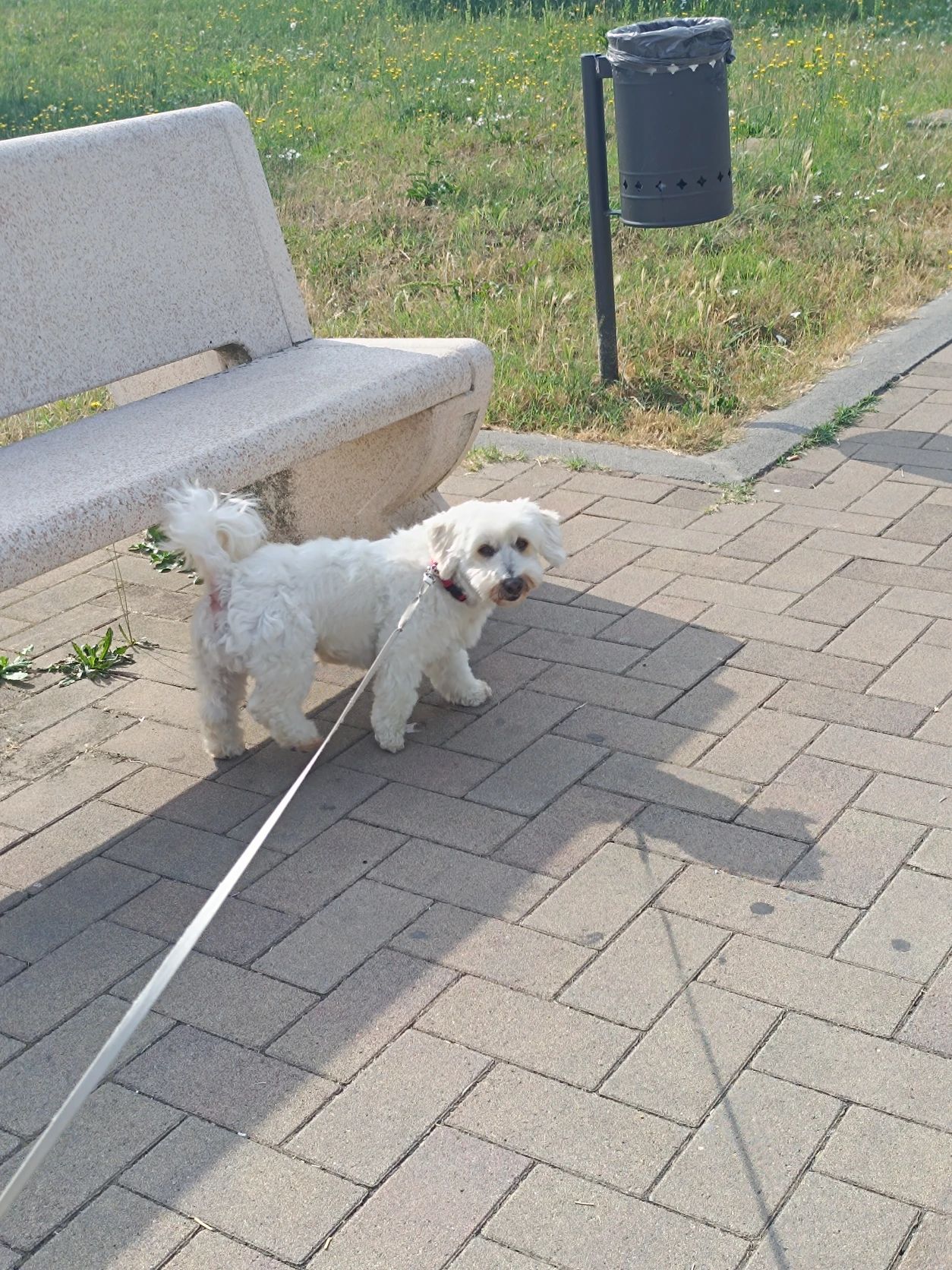 image-9