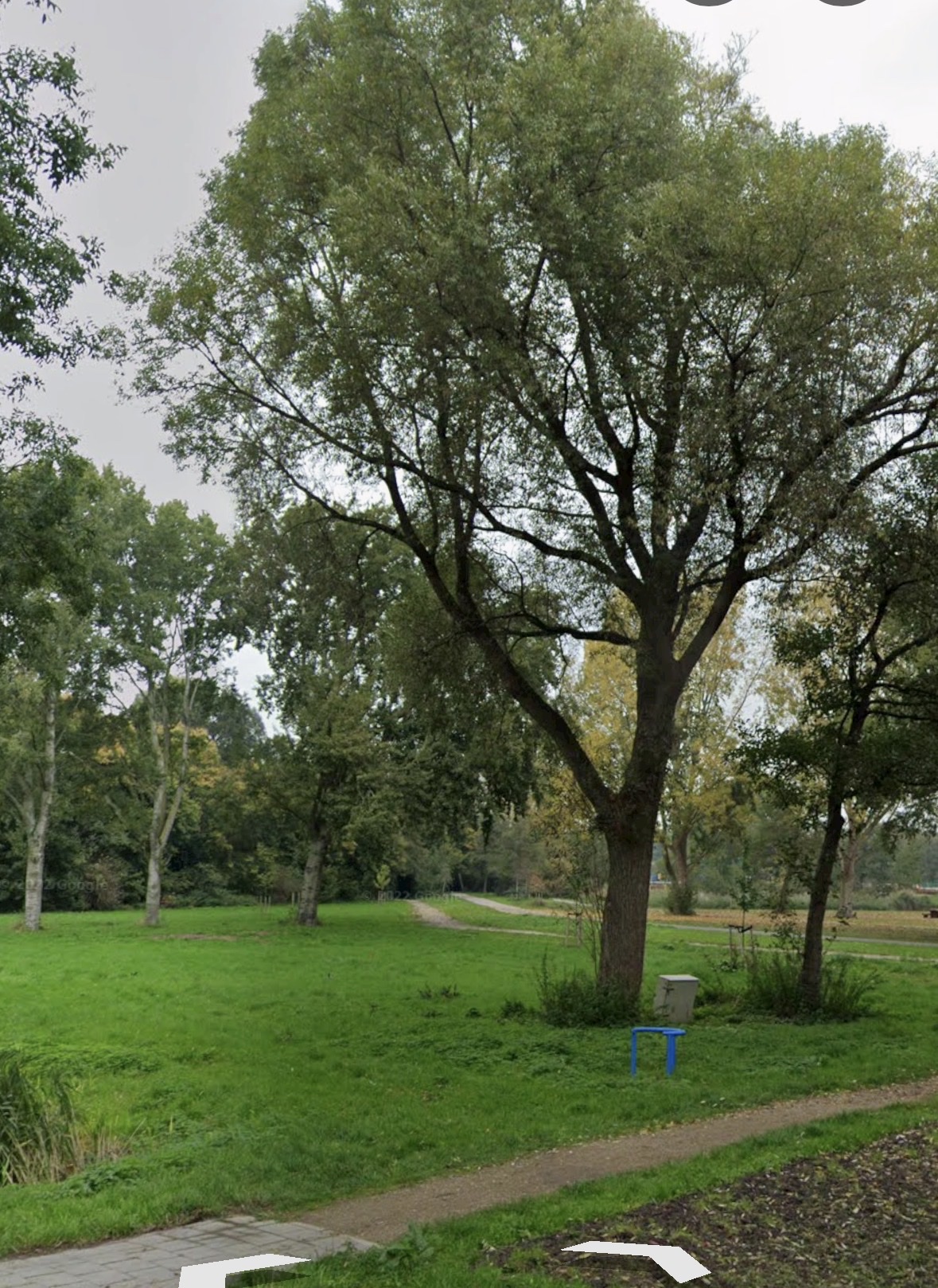 image-11