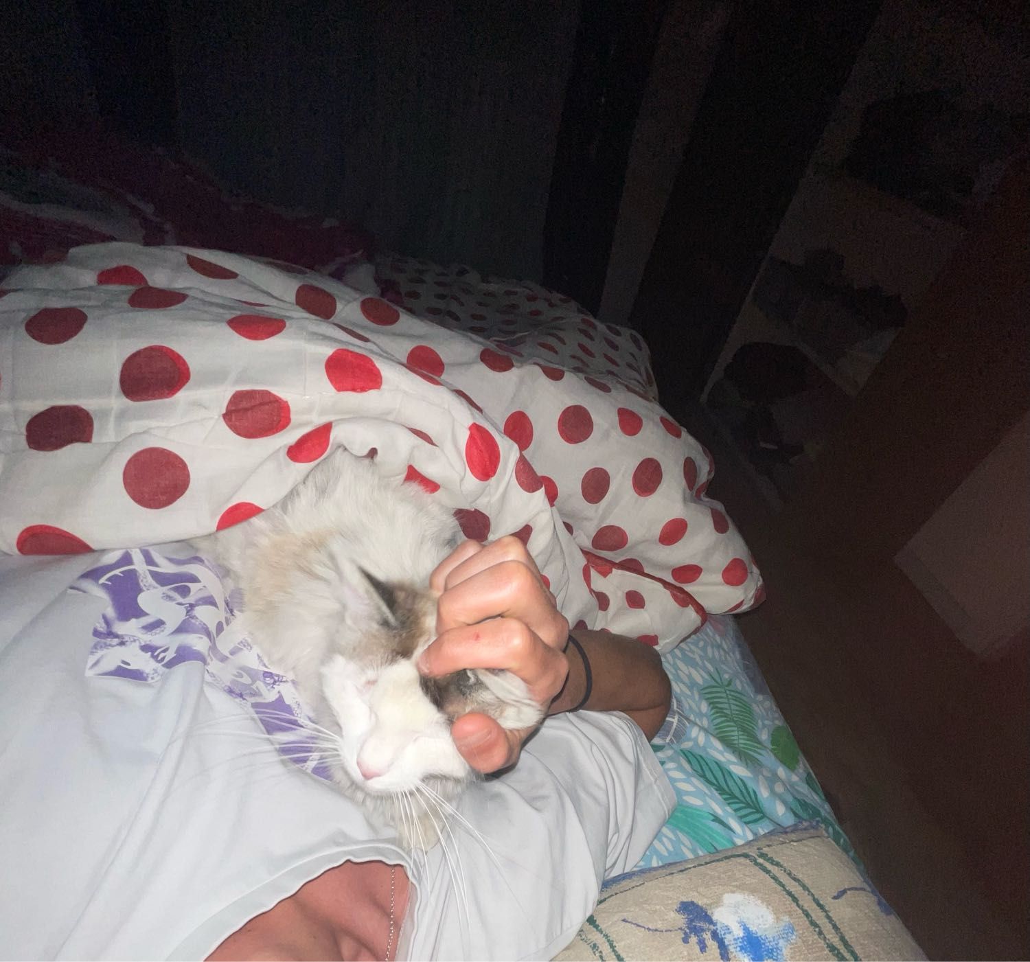 image-8