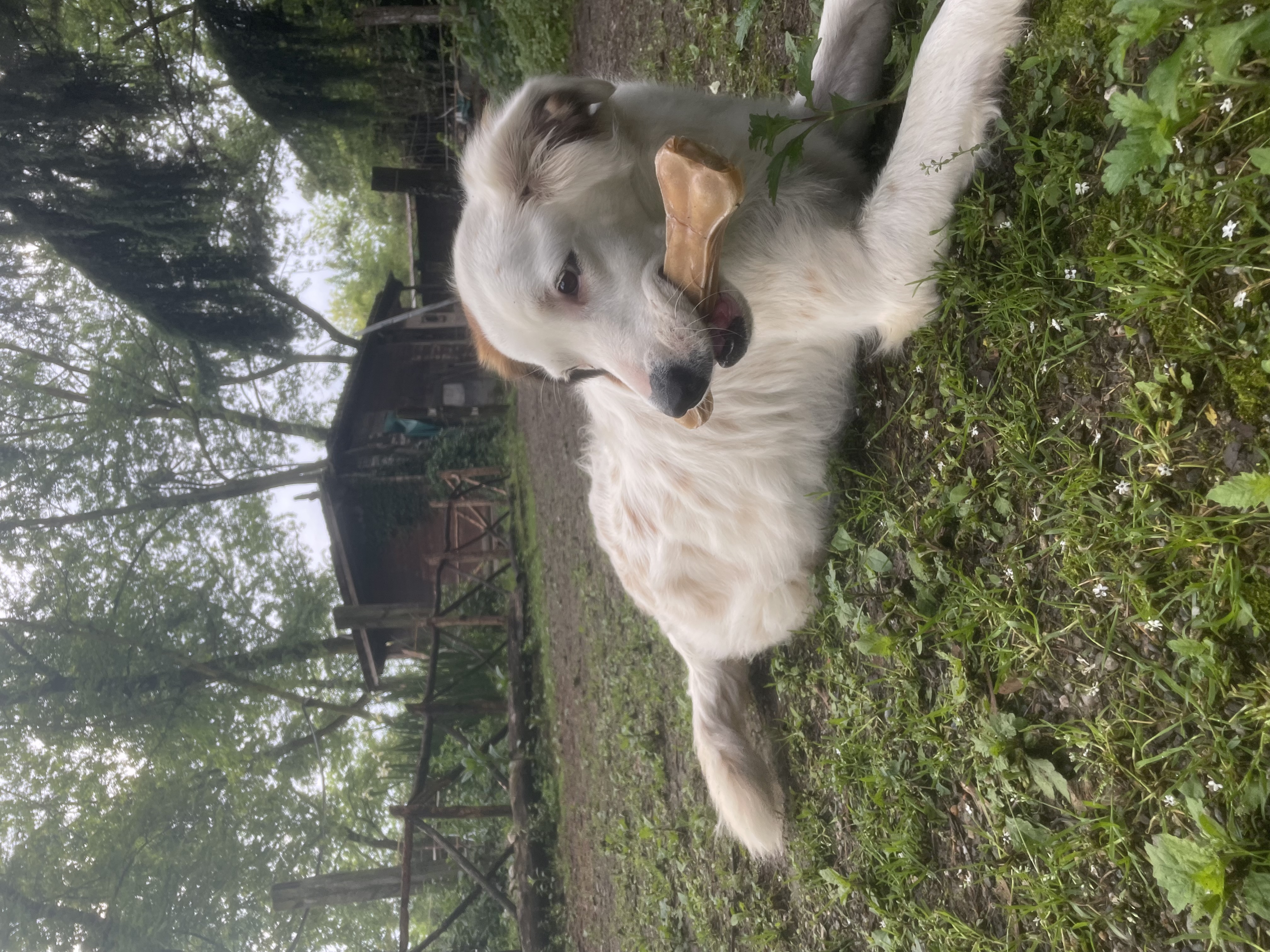 image-6
