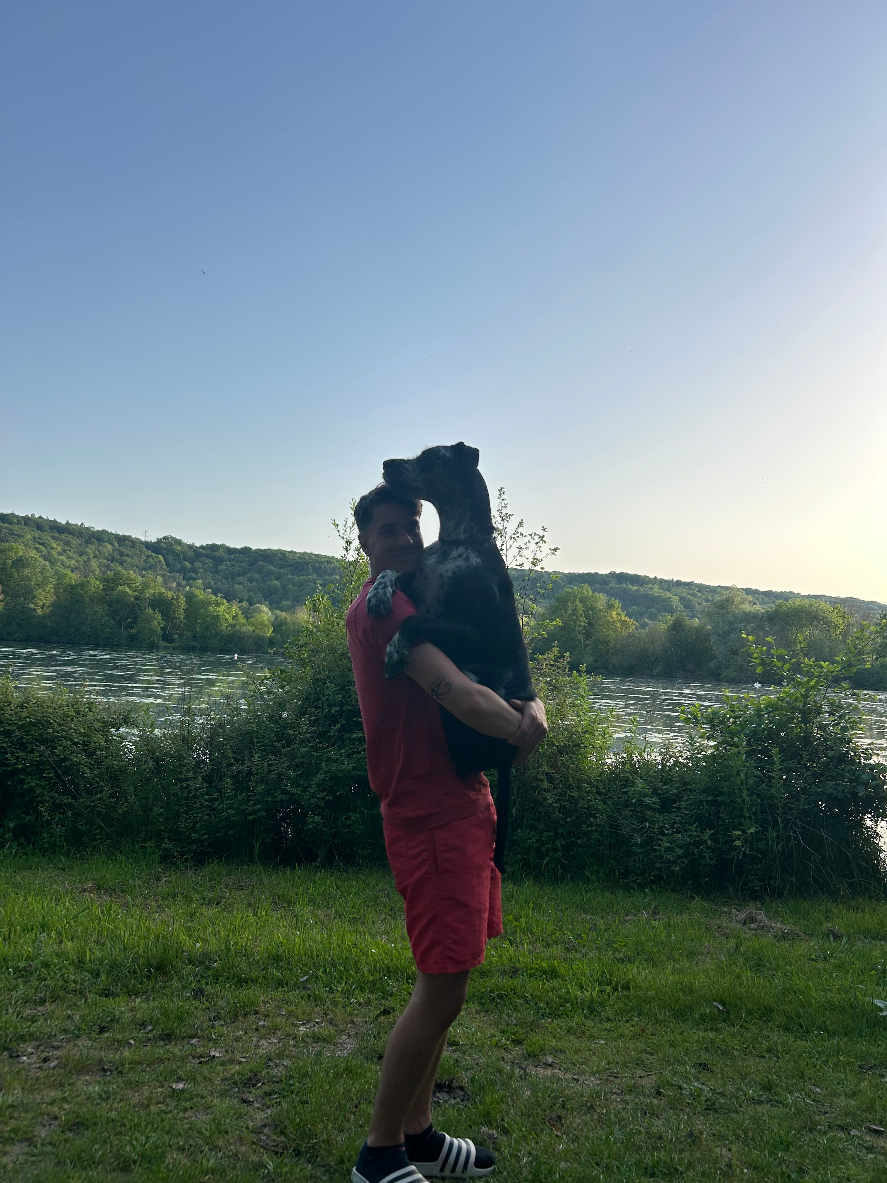 image-1