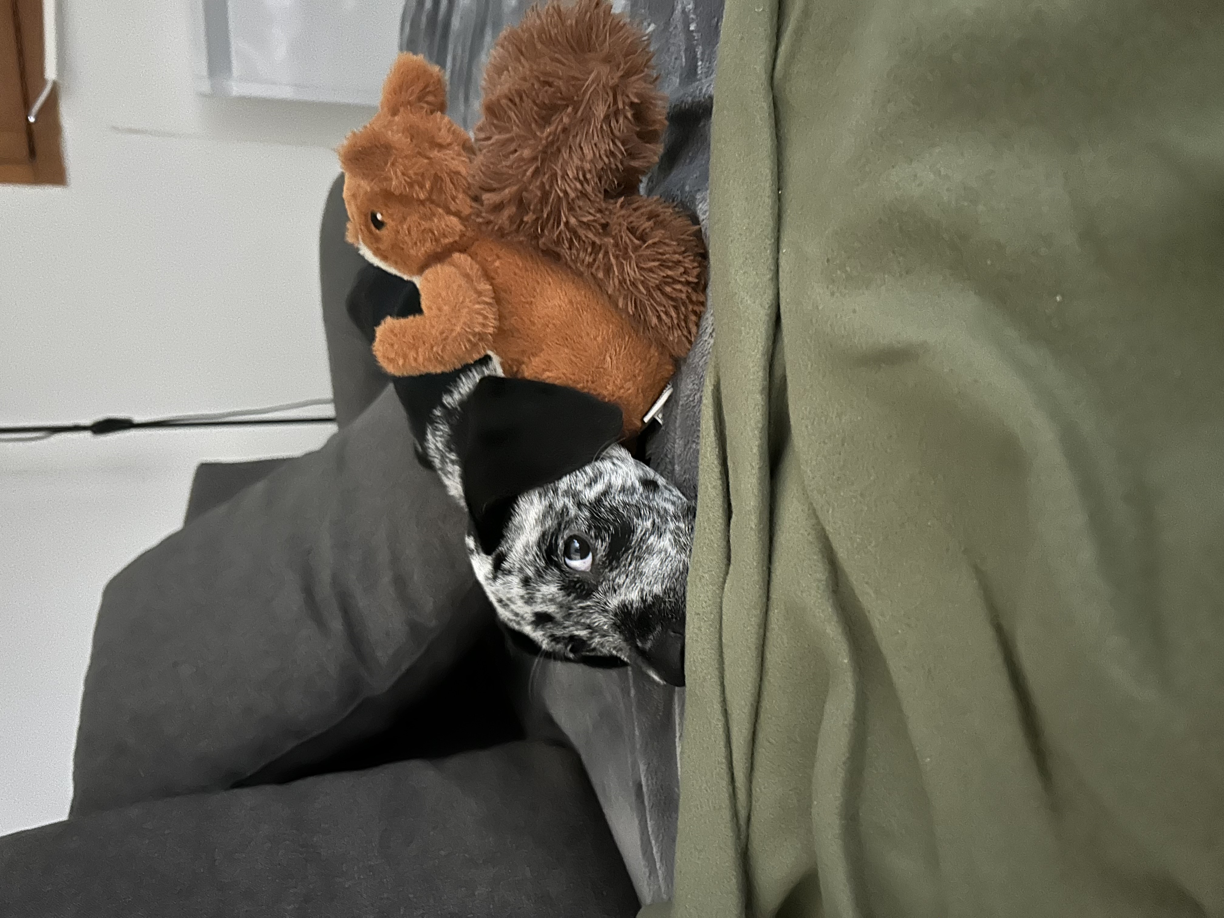 image-4