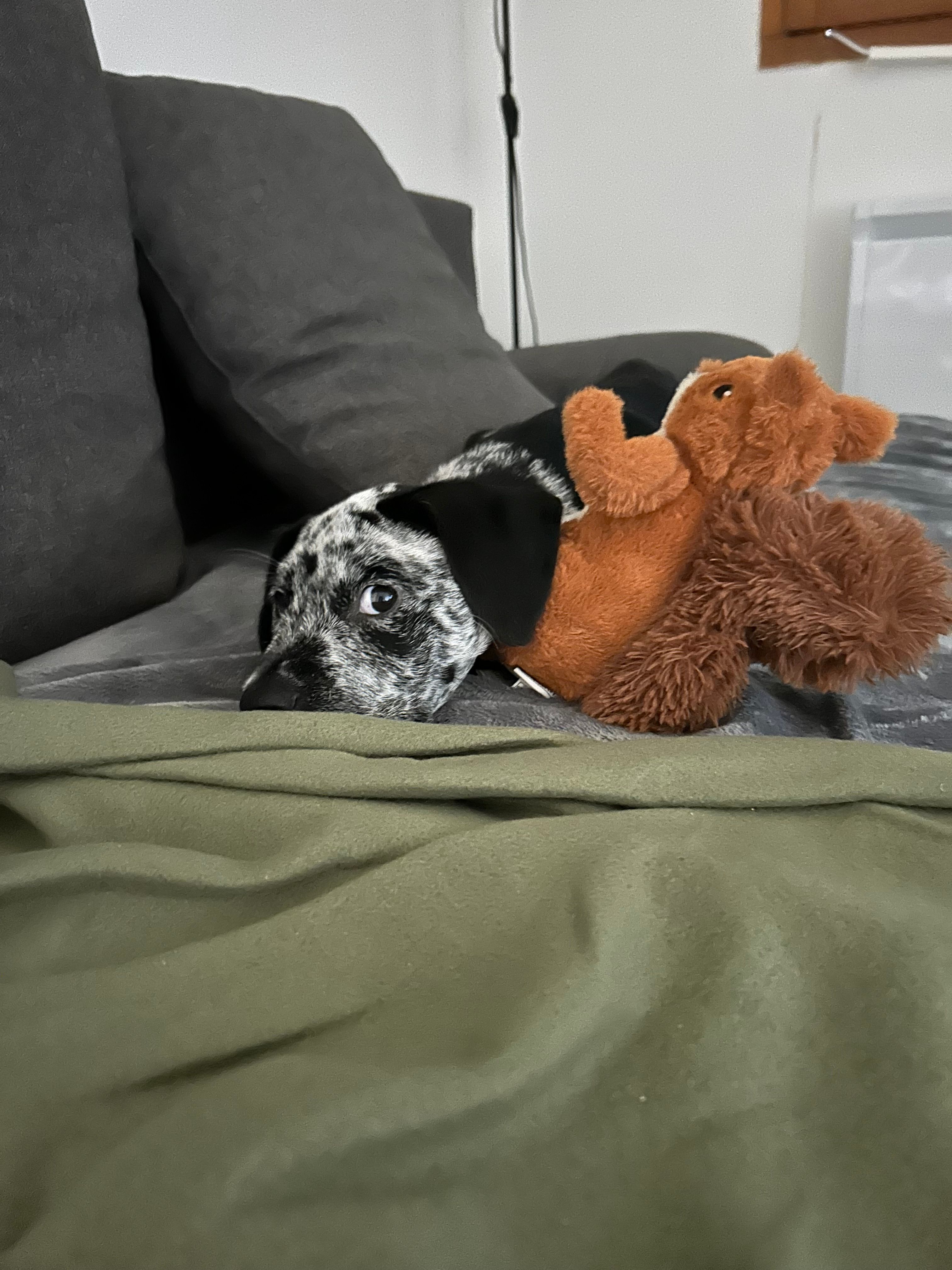 image-4