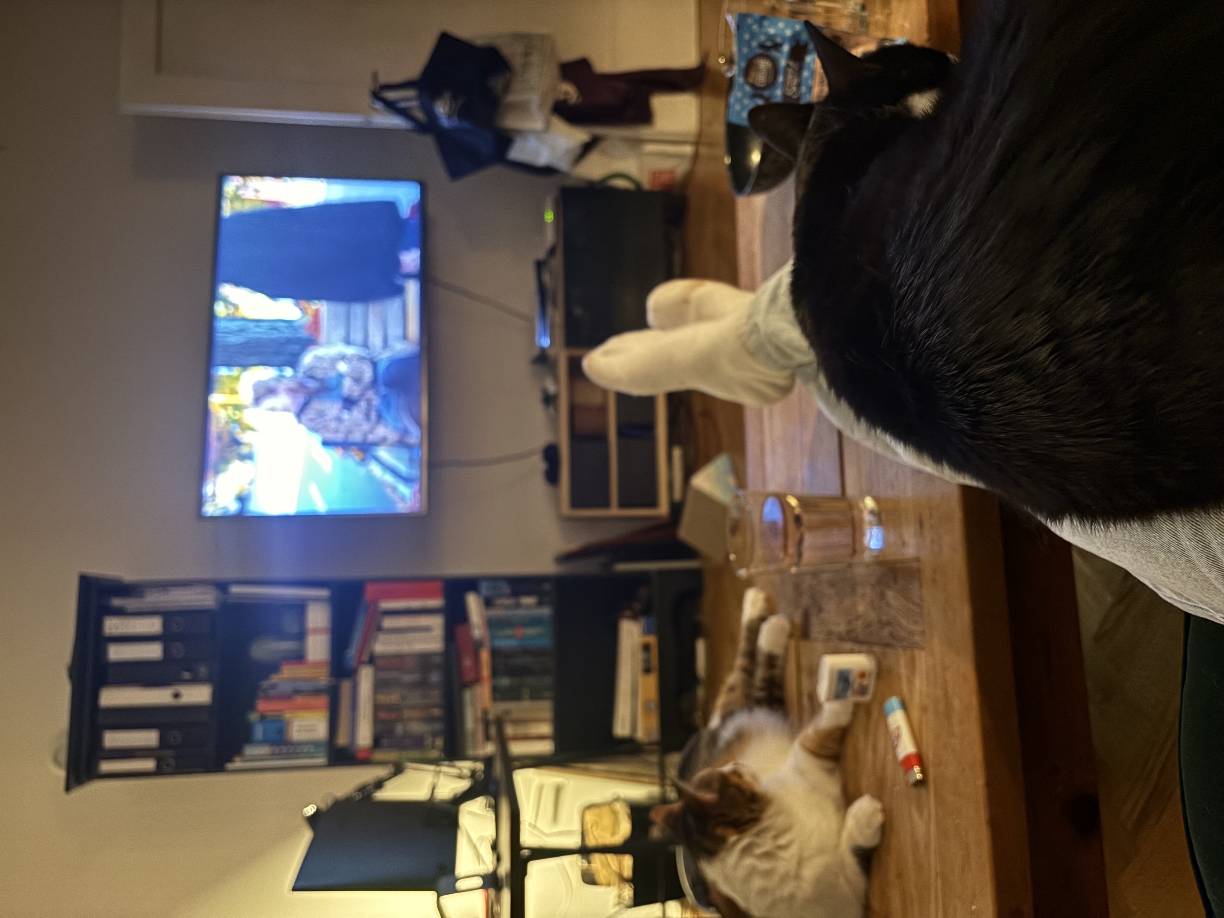 image-5