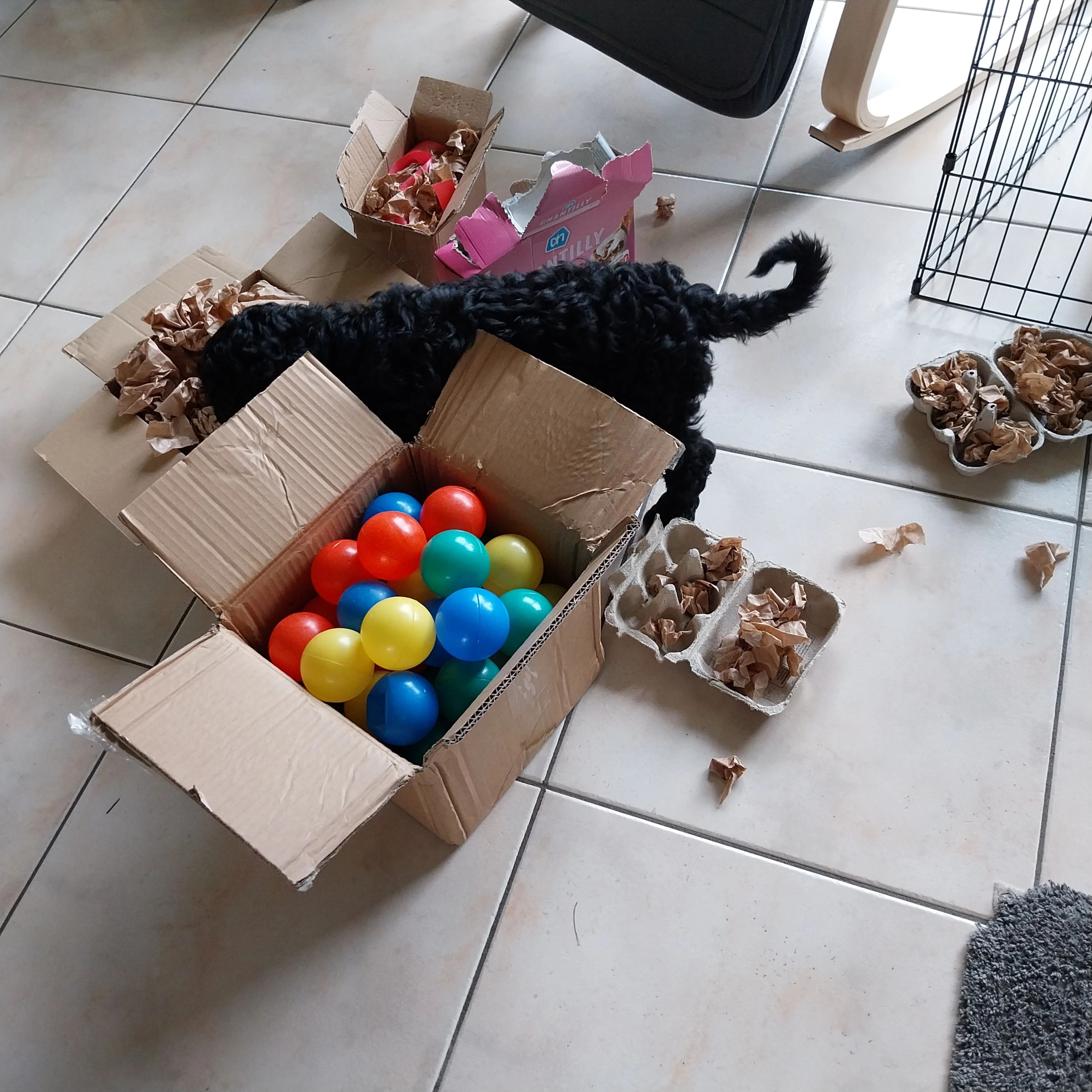 image-7