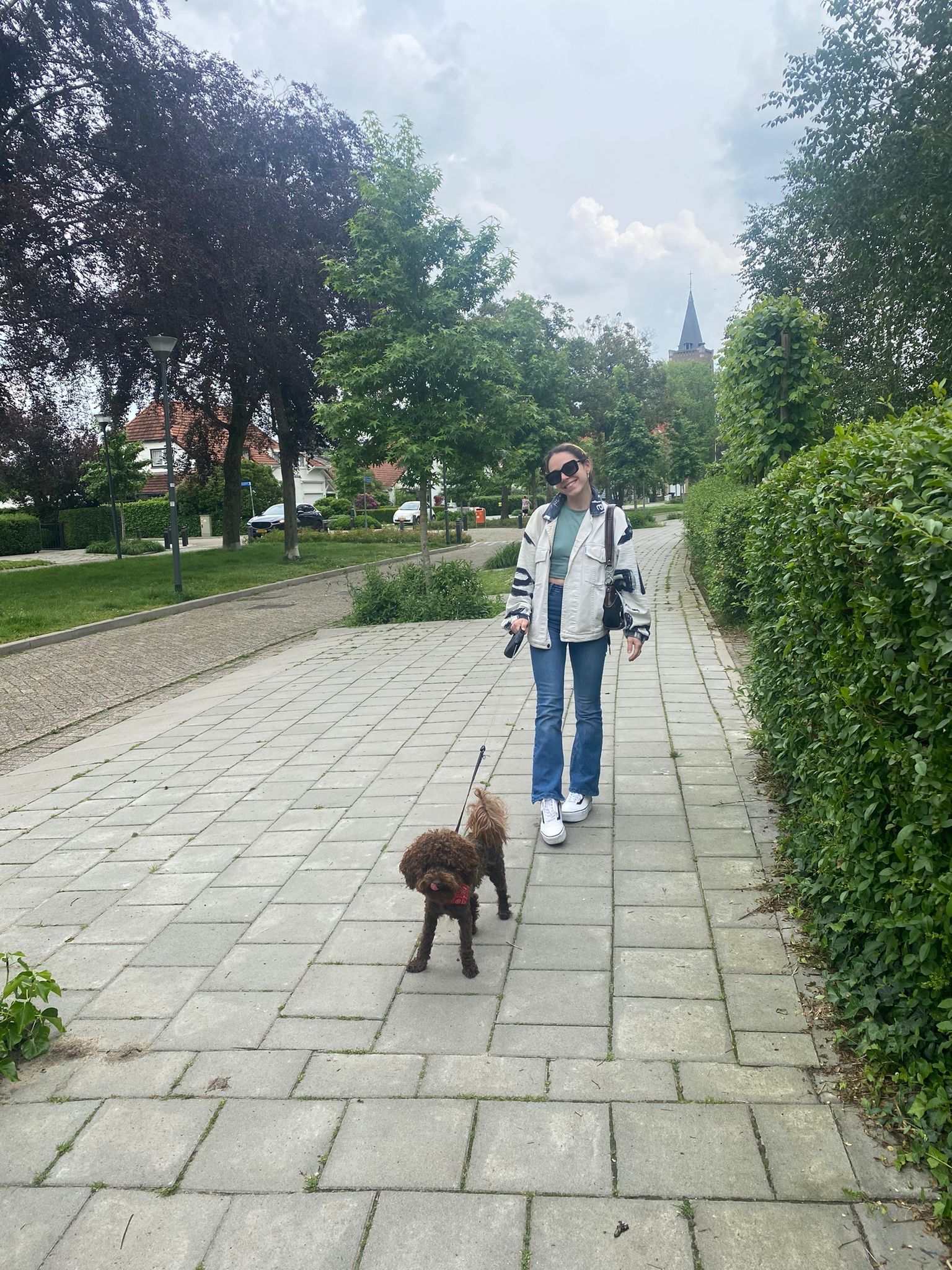 image-5