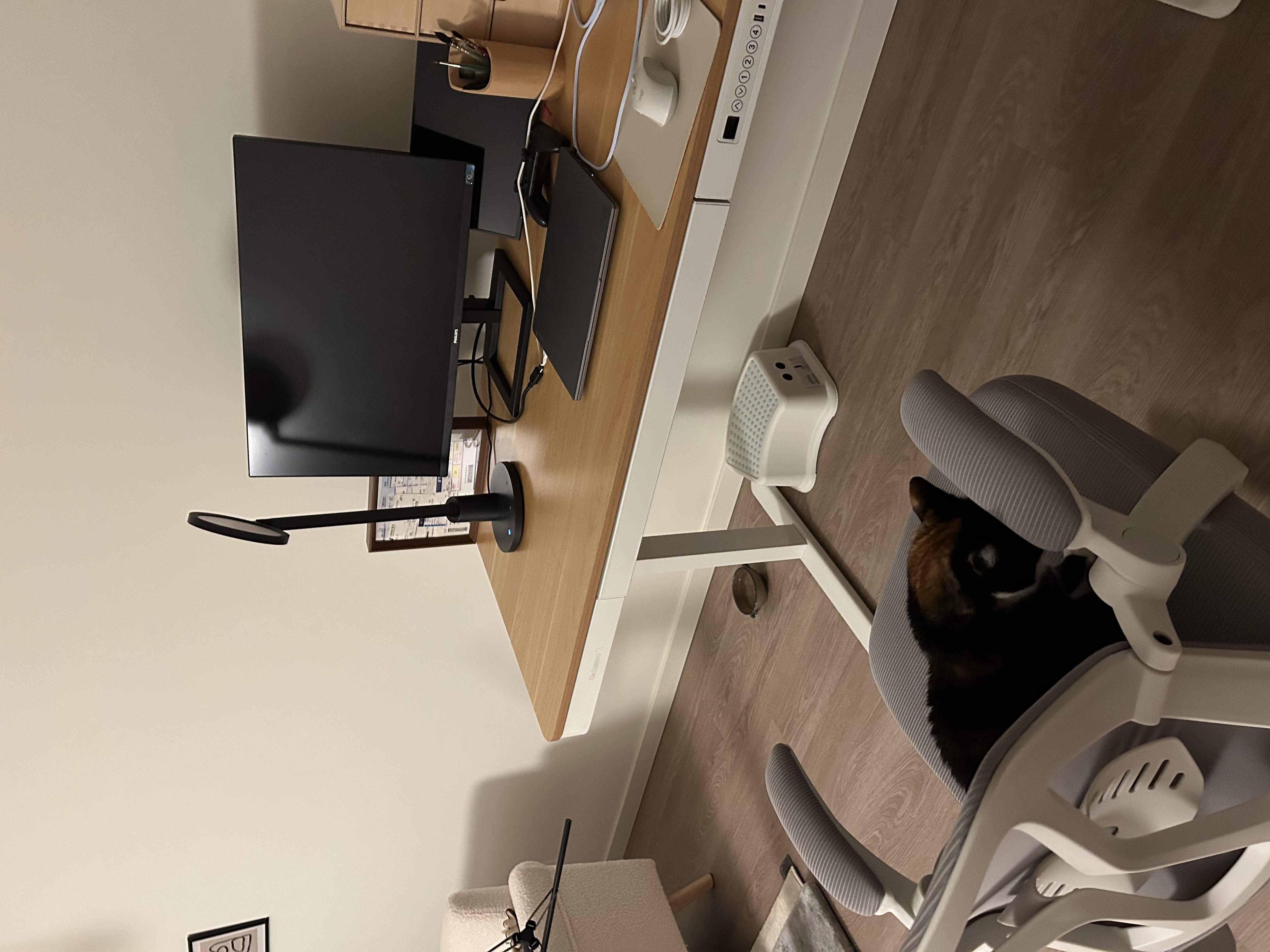 image-7