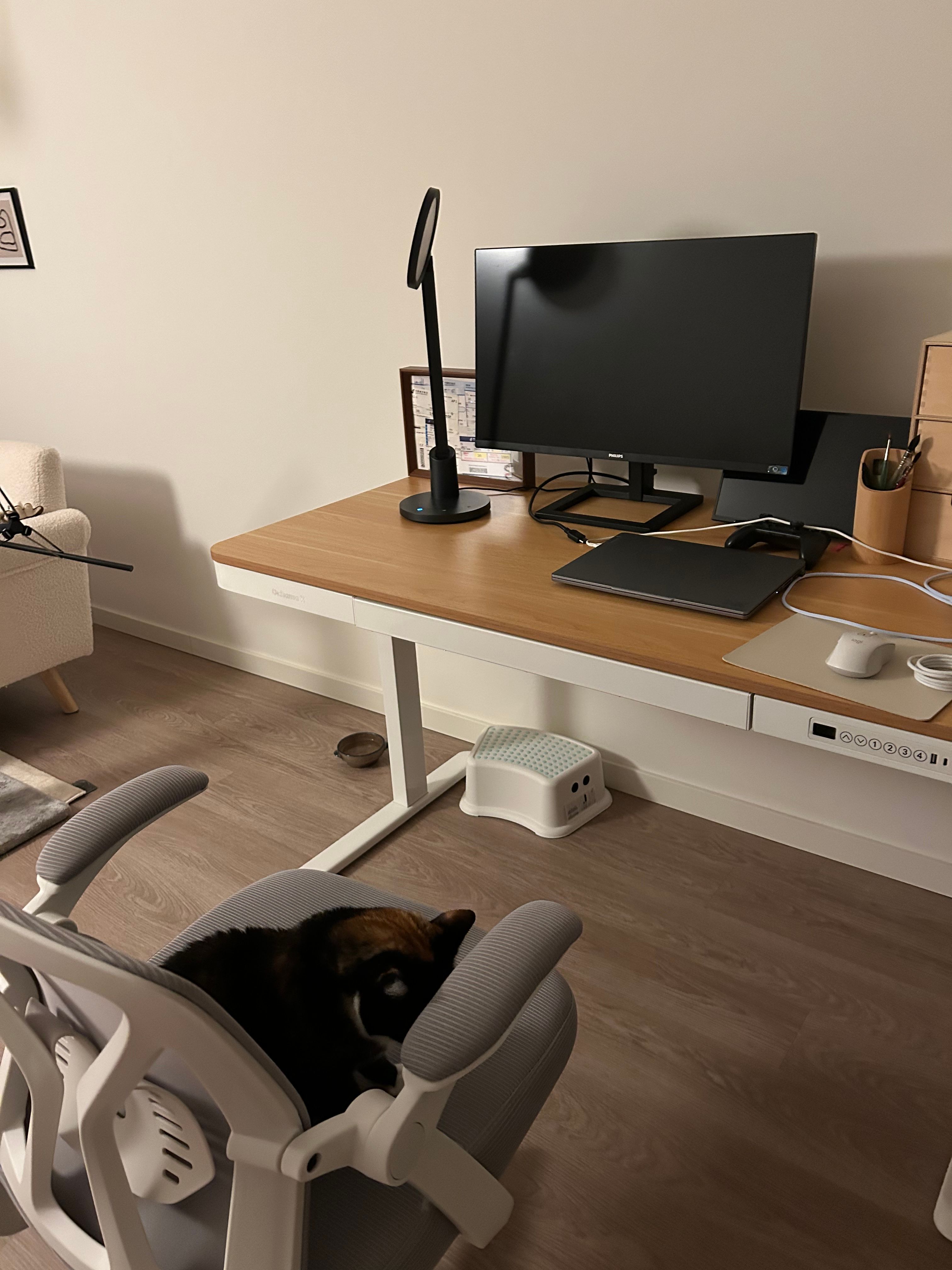 image-7