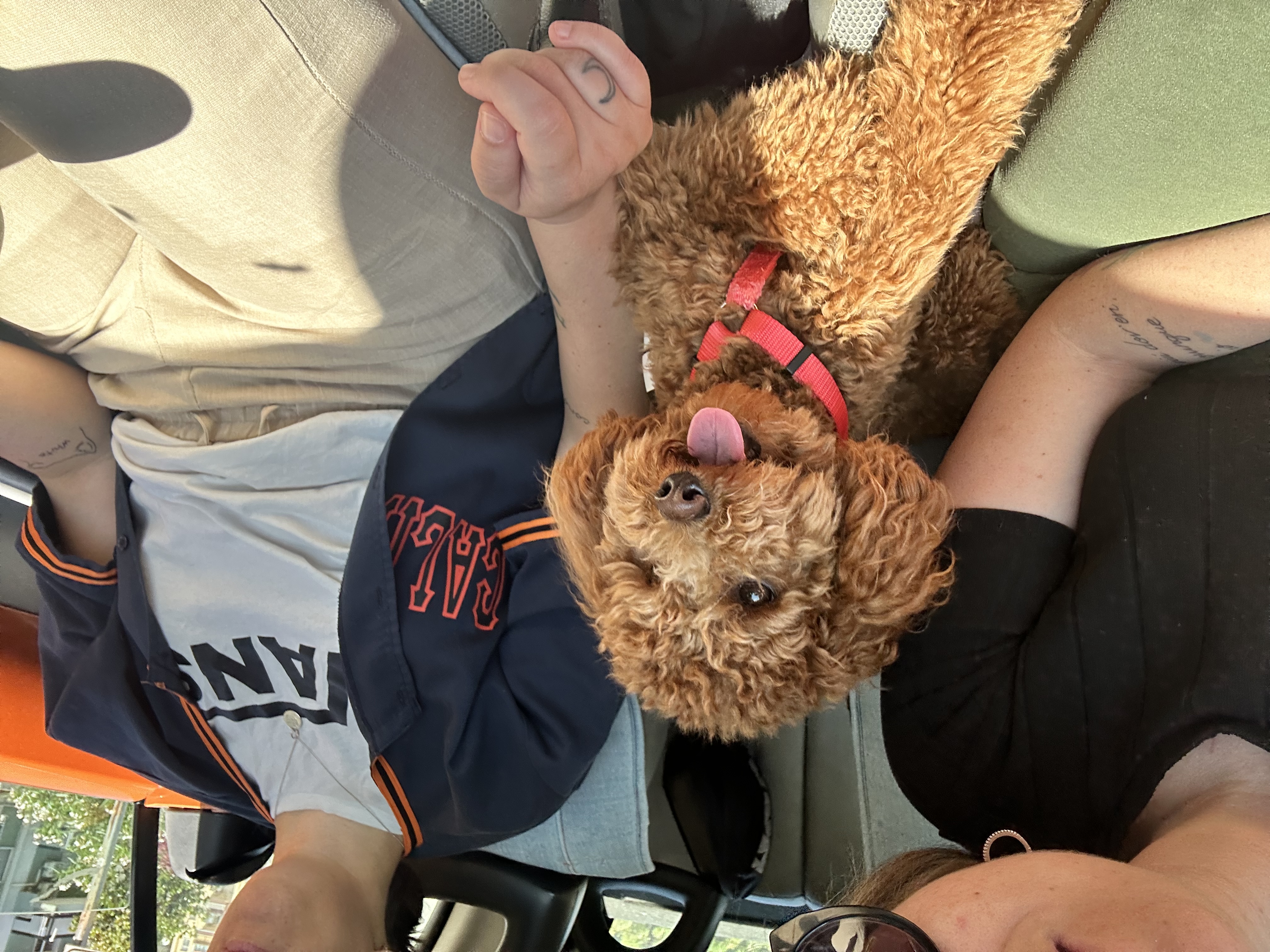 image-16