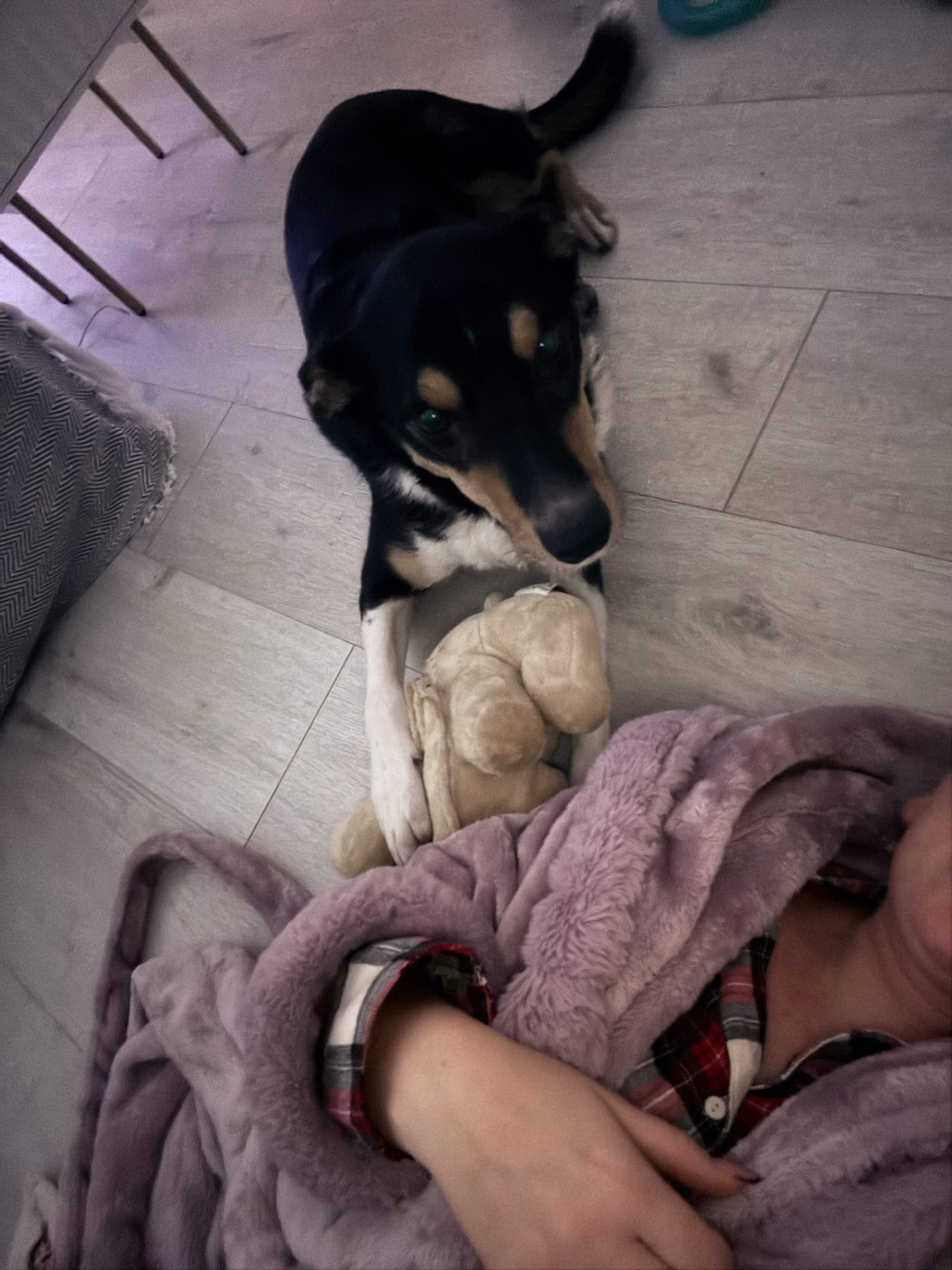 image-8